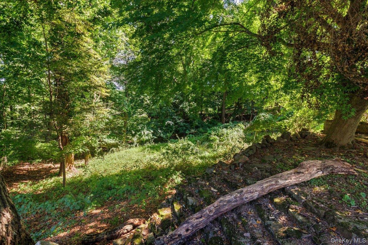 Single Family The Parkway Westchester County, NY 10543, MLS-893755-33