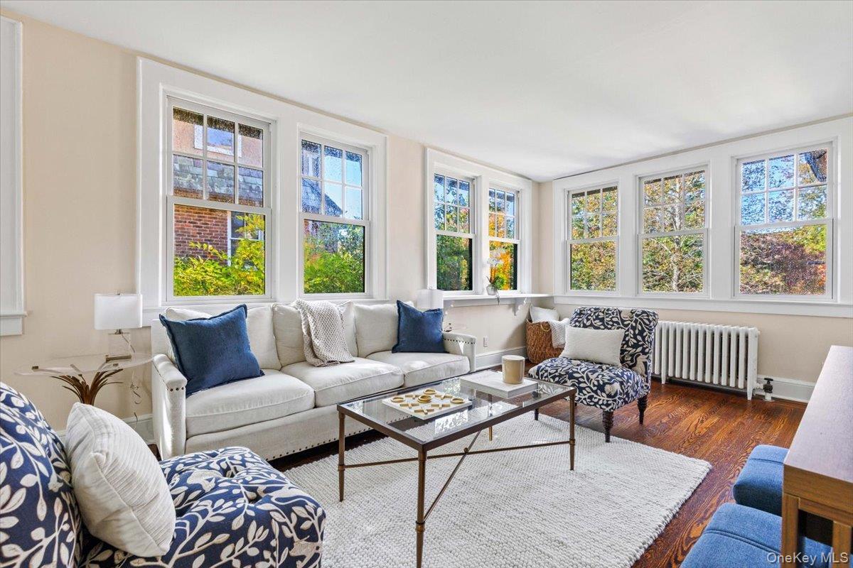 Single Family The Parkway Westchester County, NY 10543, MLS-893755-9