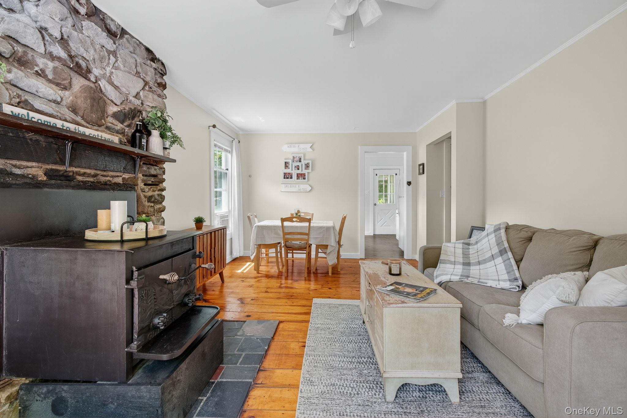 Single Family Caston Ulster County, NY 12435, MLS-893850-15