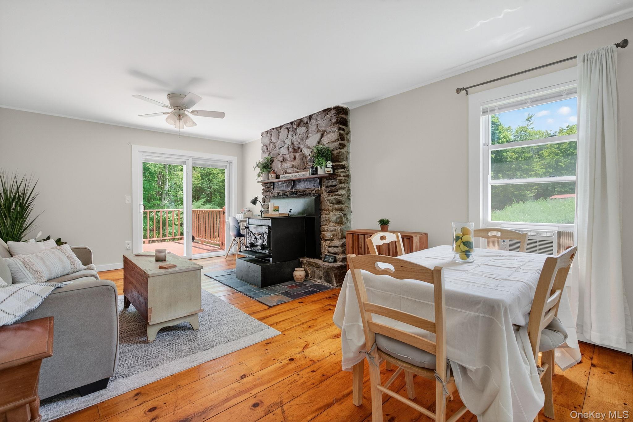 Single Family Caston Ulster County, NY 12435, MLS-893850-17