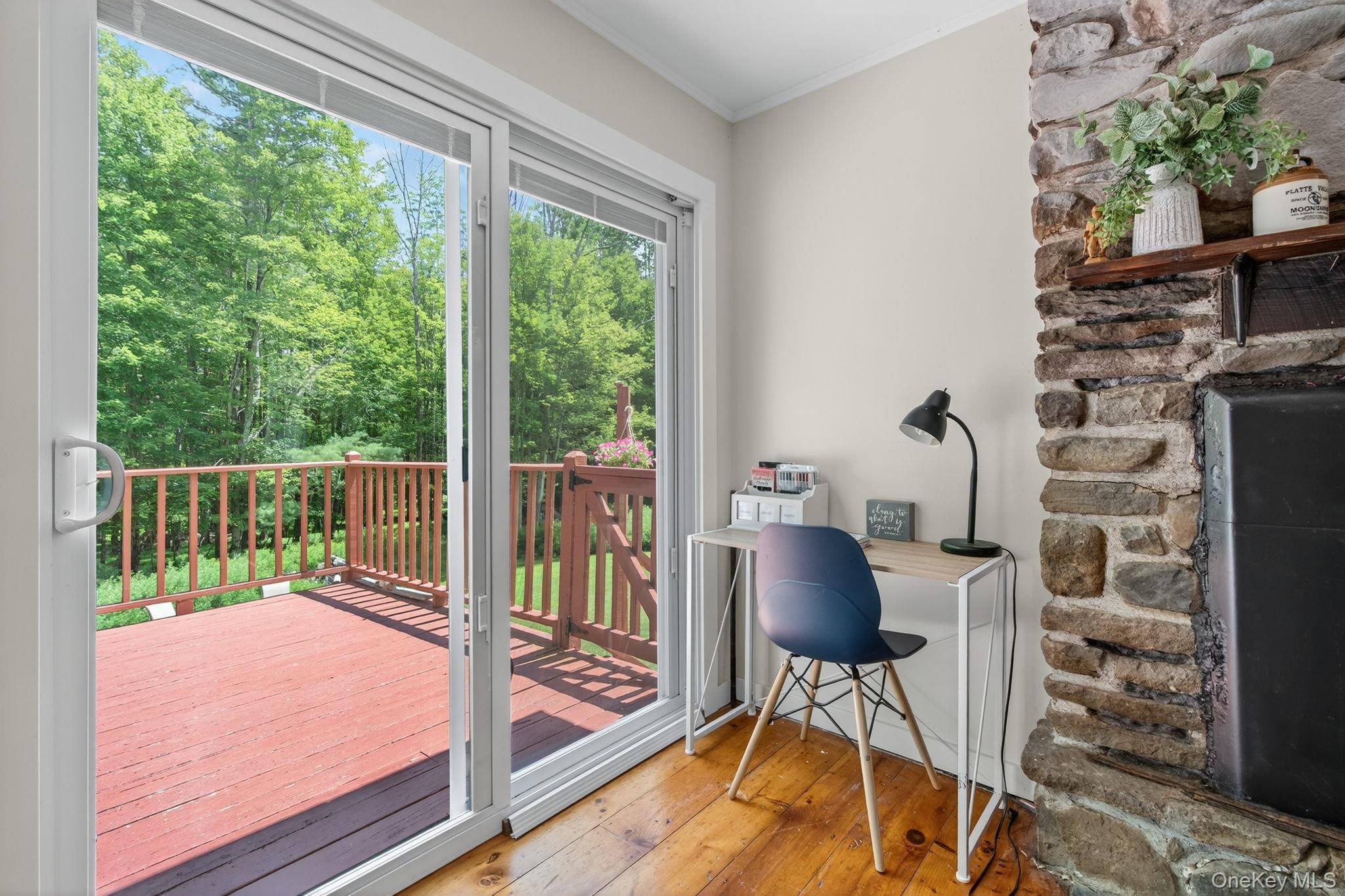 Single Family Caston Ulster County, NY 12435, MLS-893850-18