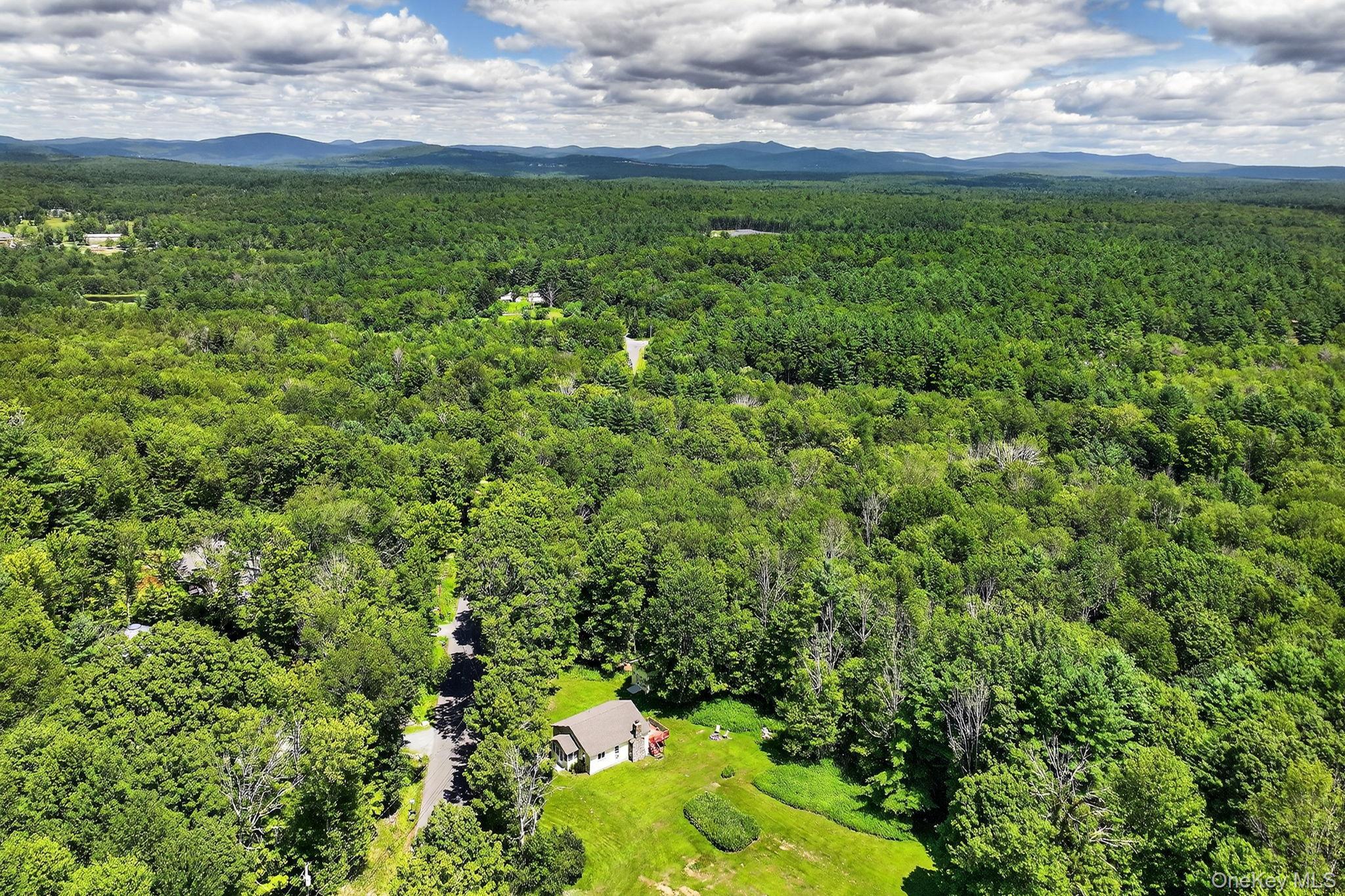 Single Family Caston Ulster County, NY 12435, MLS-893850-38