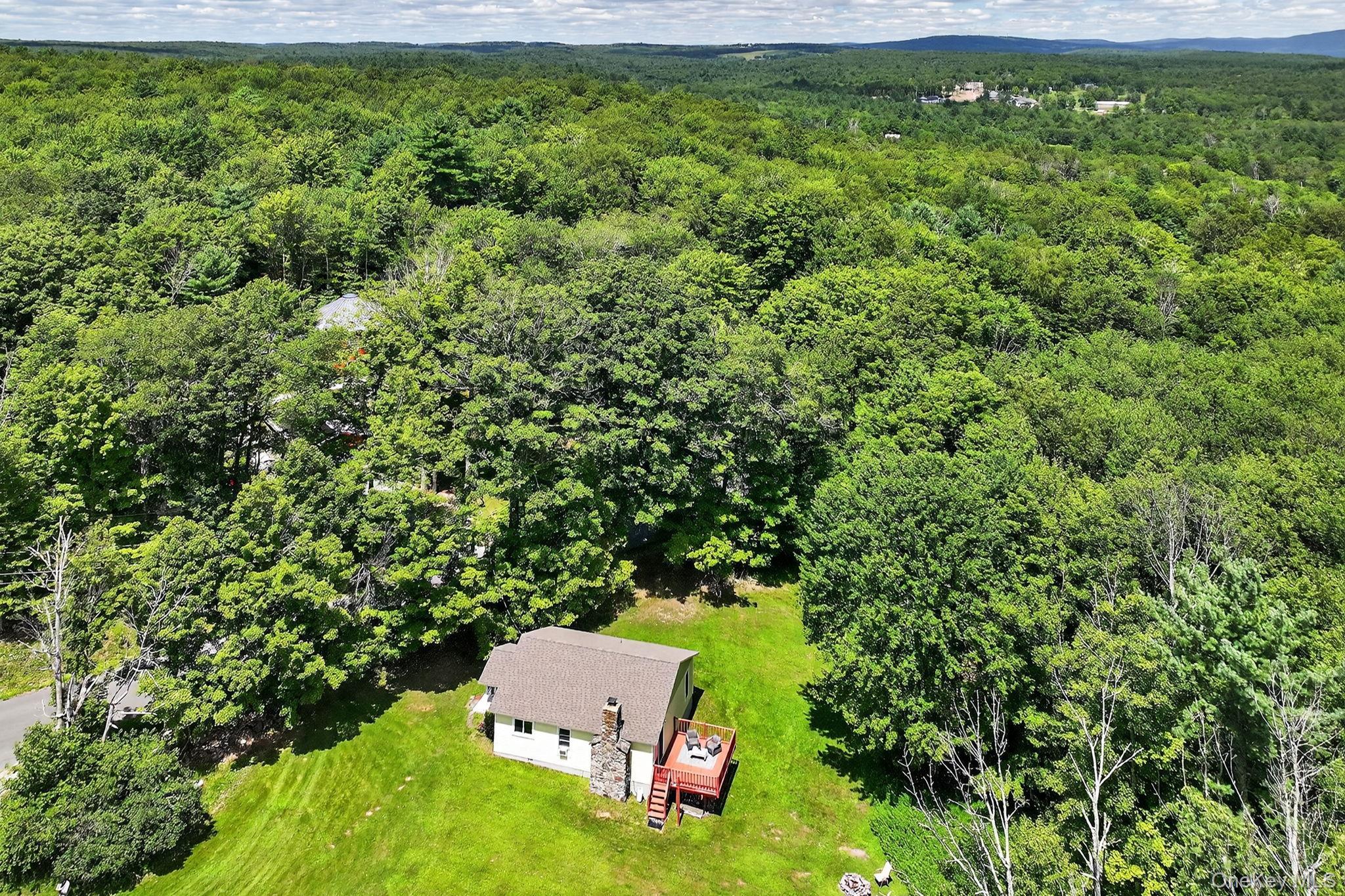 Single Family Caston Ulster County, NY 12435, MLS-893850-40