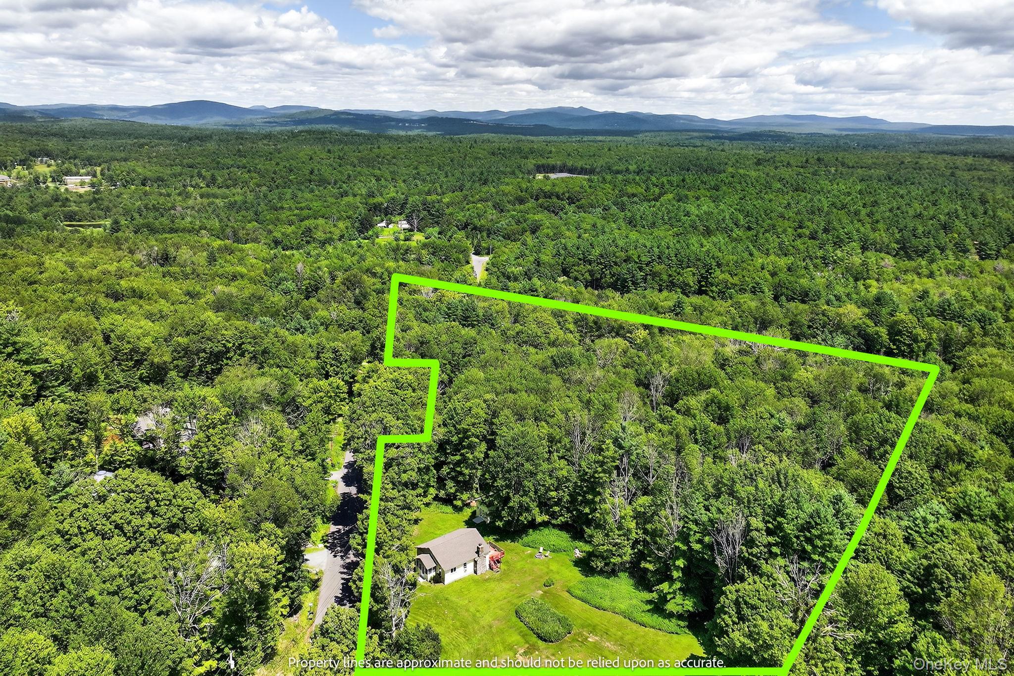 Single Family Caston Ulster County, NY 12435, MLS-893850-43