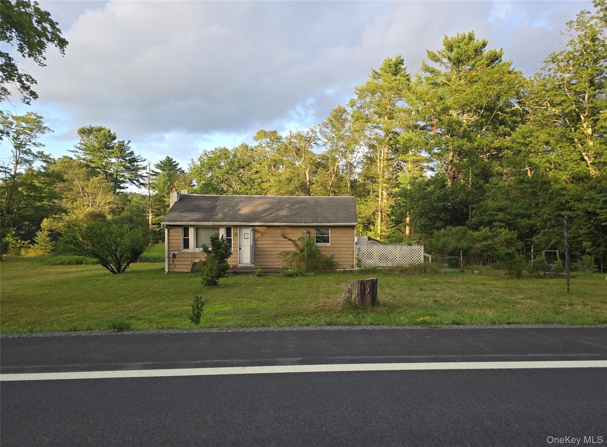 Single Family State Route 42  Orange County, NY 12780, MLS-893934-2