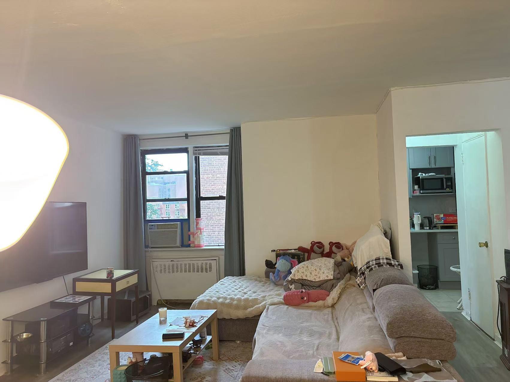 Coop 38th  Queens, NY 11354, MLS-894080-3