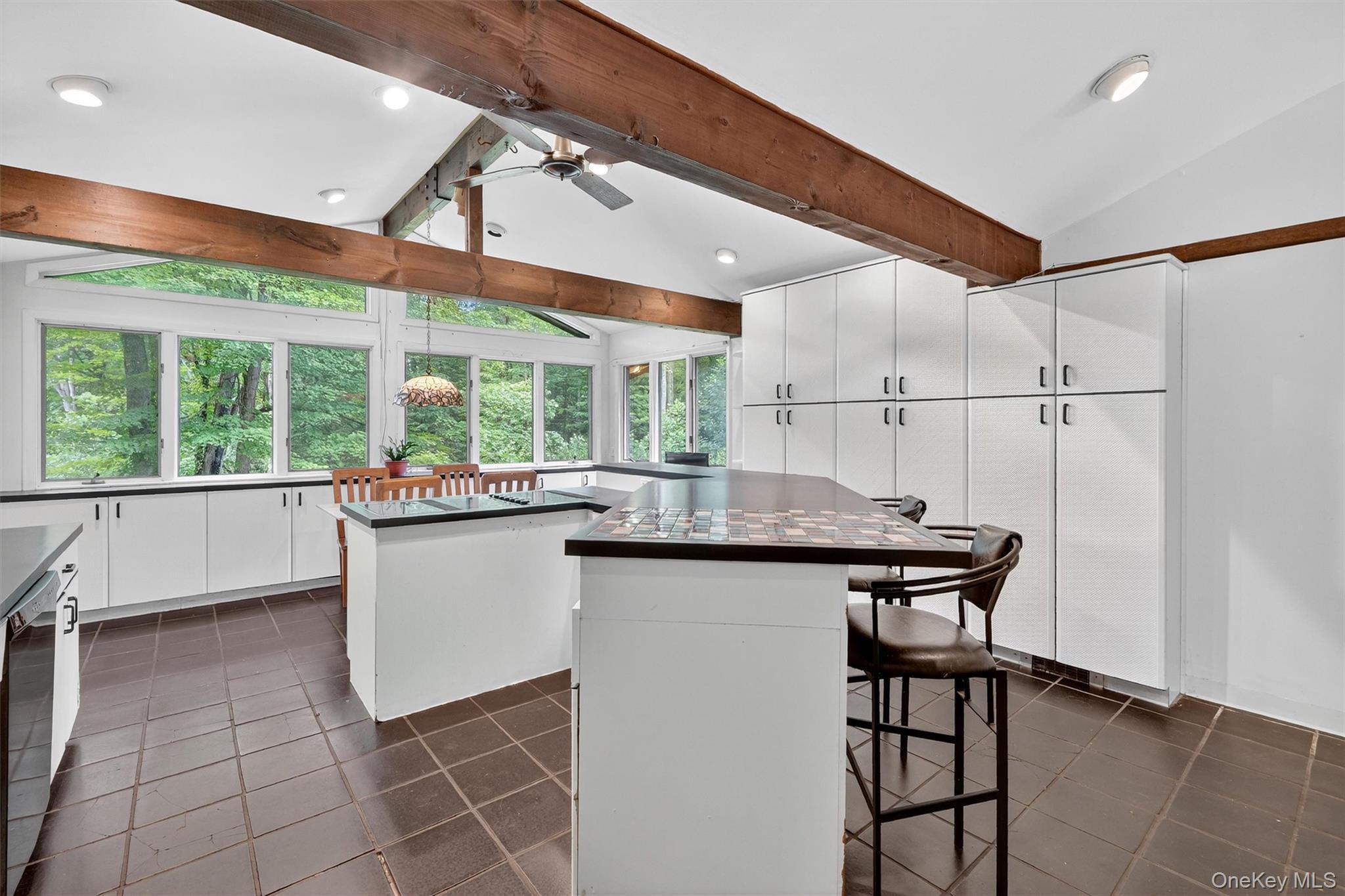 Single Family Cedar Hill Westchester County, NY 10506, MLS-894100-14