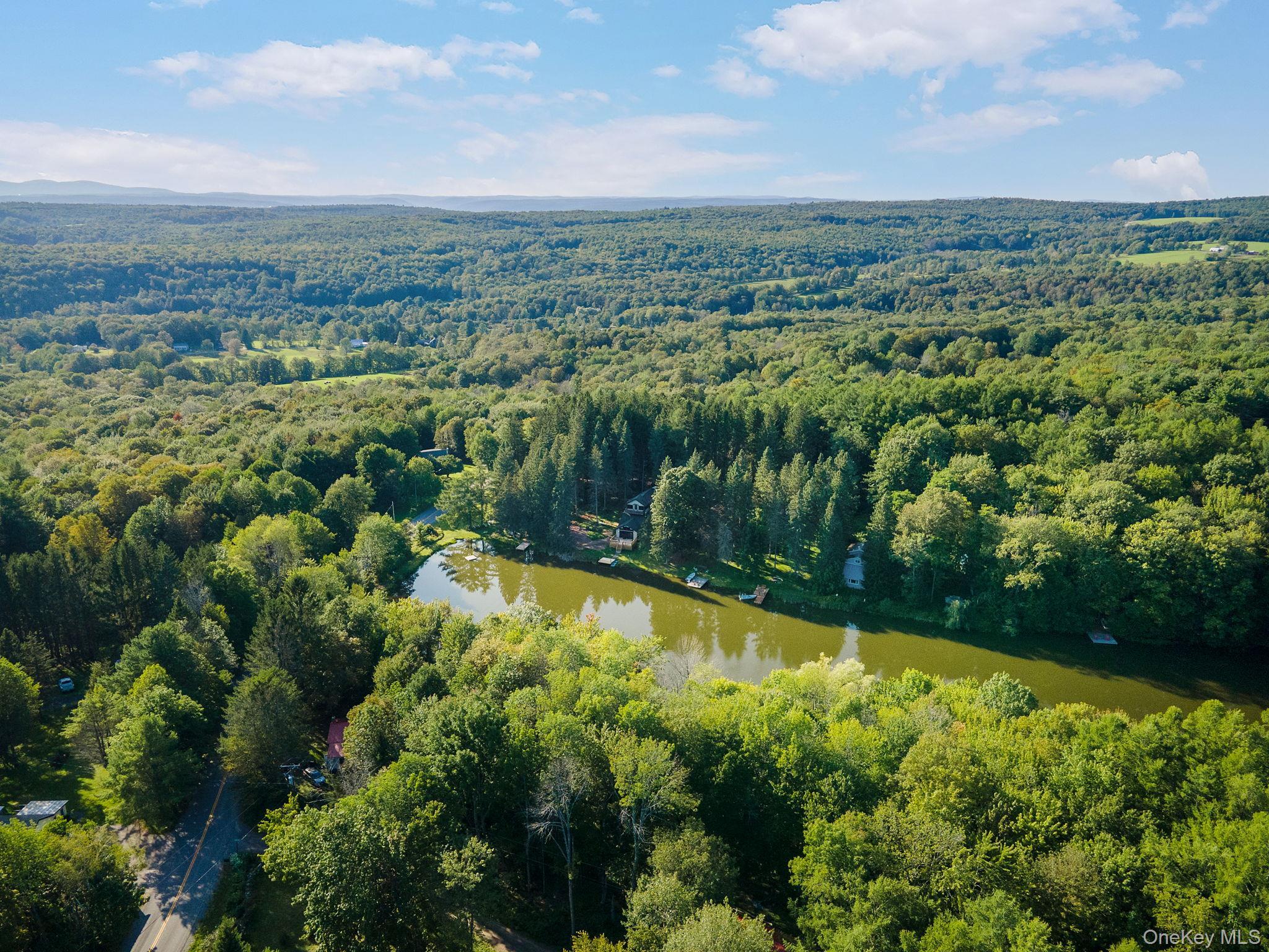 Single Family Earles  Out Of Area, NY 12076, MLS-894238-46