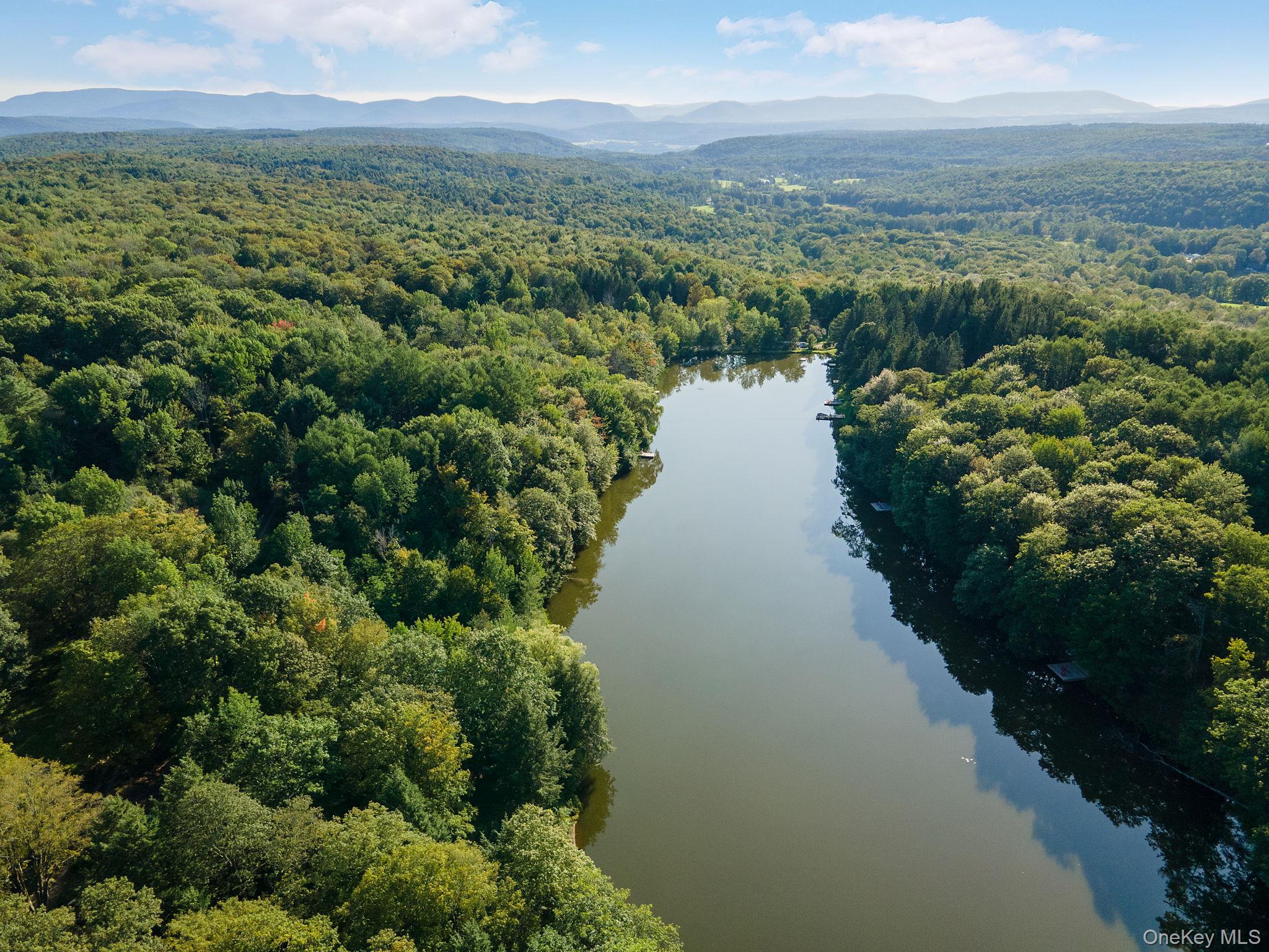 Single Family Earles  Out Of Area, NY 12076, MLS-894238-47