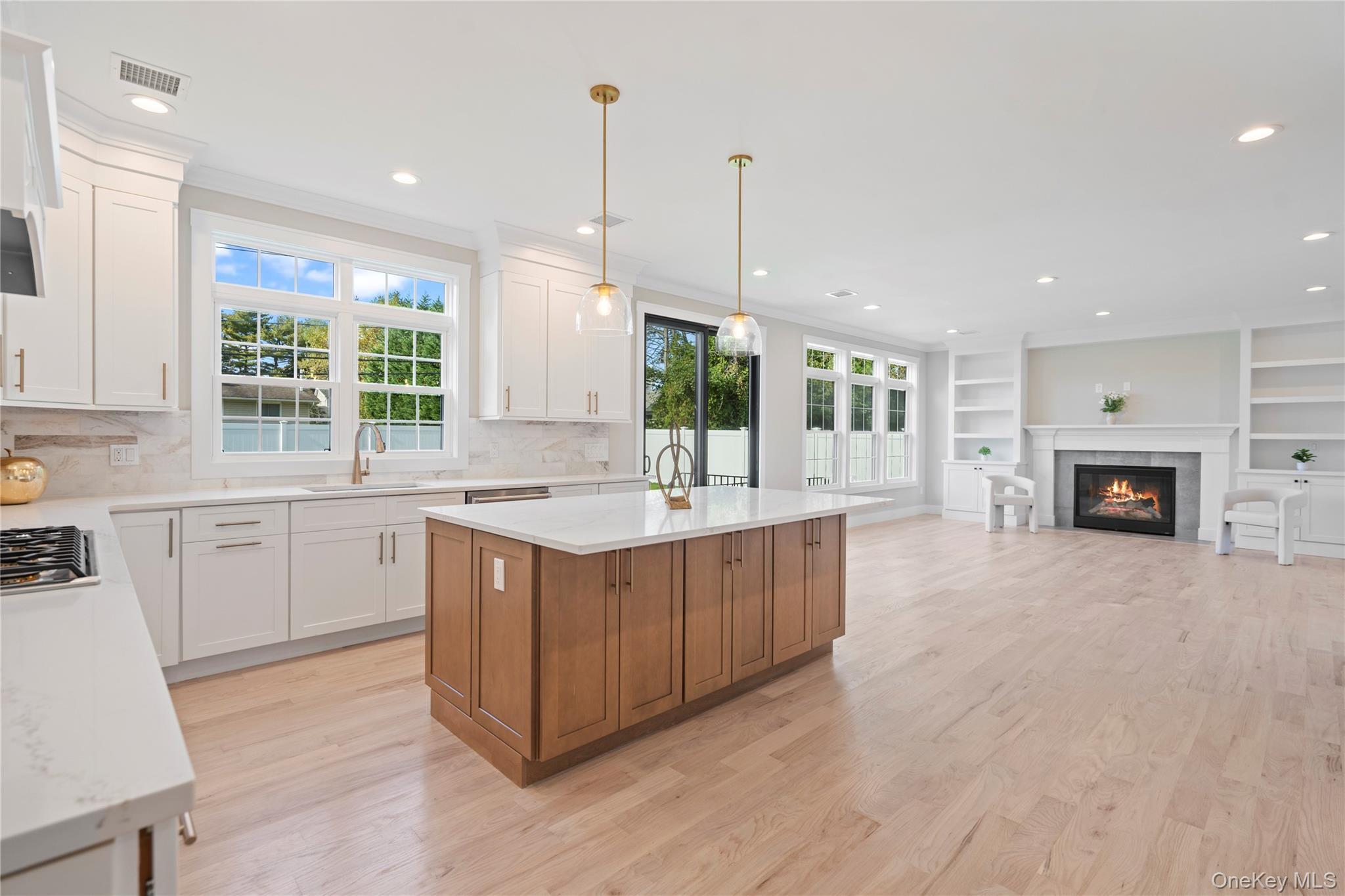 Single Family Westchester Nassau County, NY 11753, MLS-894303-14