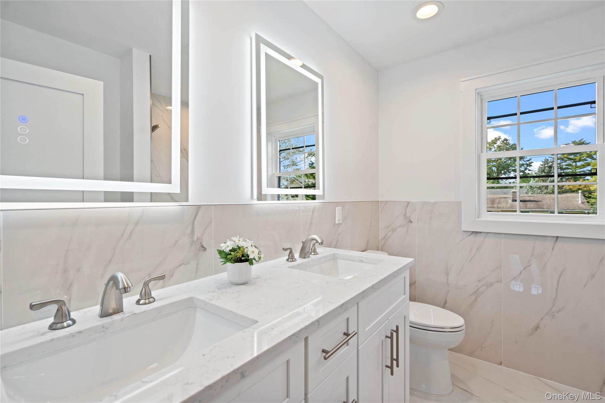 Single Family Westchester Nassau County, NY 11753, MLS-894303-35