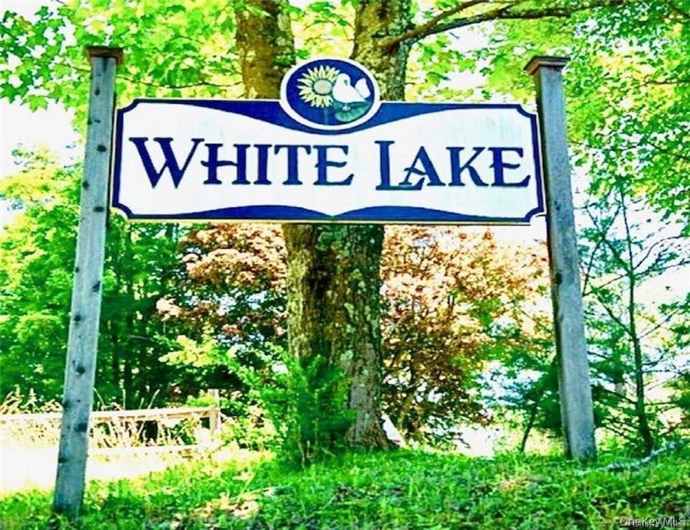 Single Family Donenfeld Sullivan County, NY 12786, MLS-894333-13