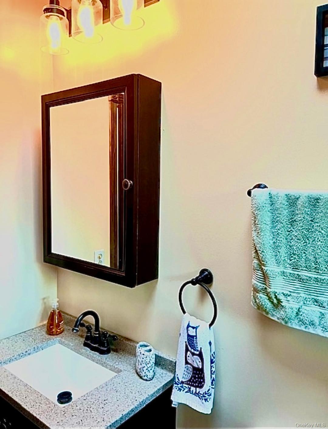 Single Family Donenfeld Sullivan County, NY 12786, MLS-894333-18