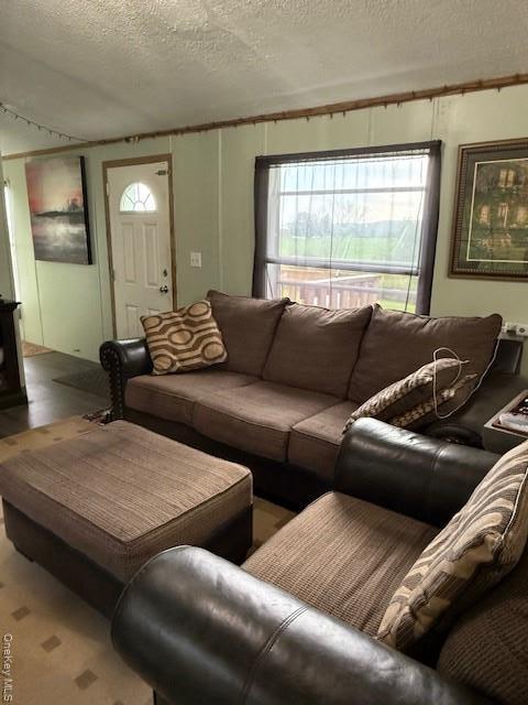 Single Family Briscoe Sullivan County, NY 12783, MLS-894406-14