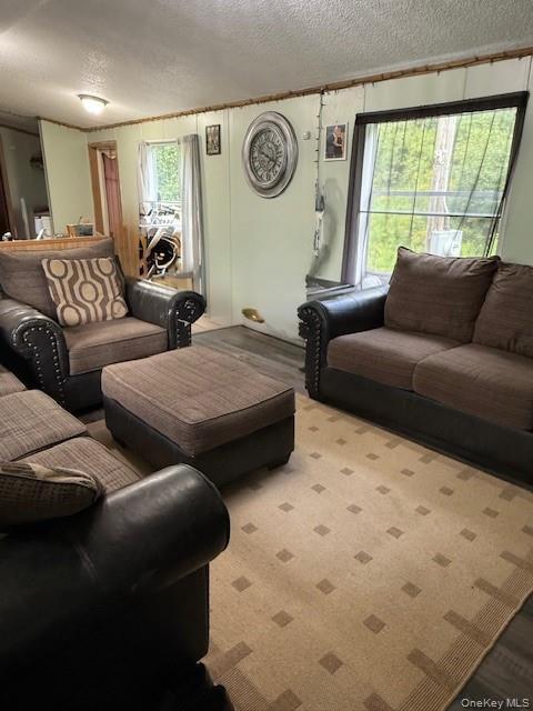 Single Family Briscoe Sullivan County, NY 12783, MLS-894406-15