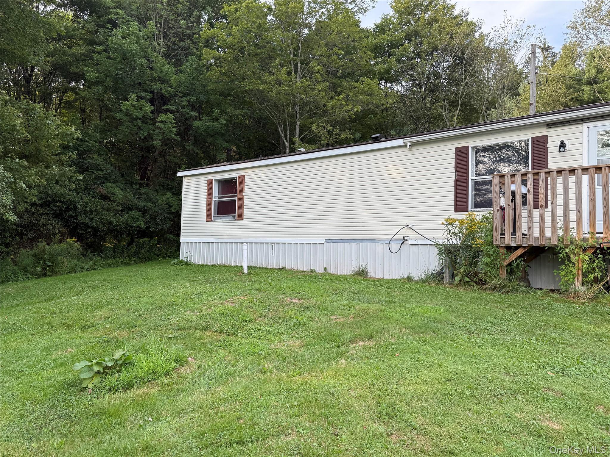 Single Family Briscoe Sullivan County, NY 12783, MLS-894406-2