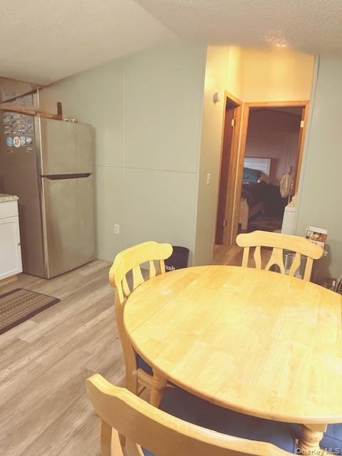 Single Family Briscoe Sullivan County, NY 12783, MLS-894406-21