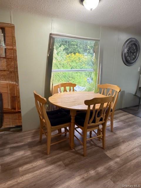 Single Family Briscoe Sullivan County, NY 12783, MLS-894406-22