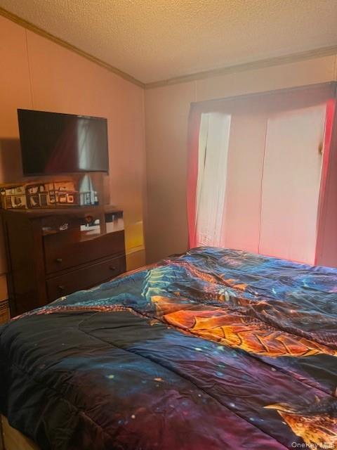 Single Family Briscoe Sullivan County, NY 12783, MLS-894406-26