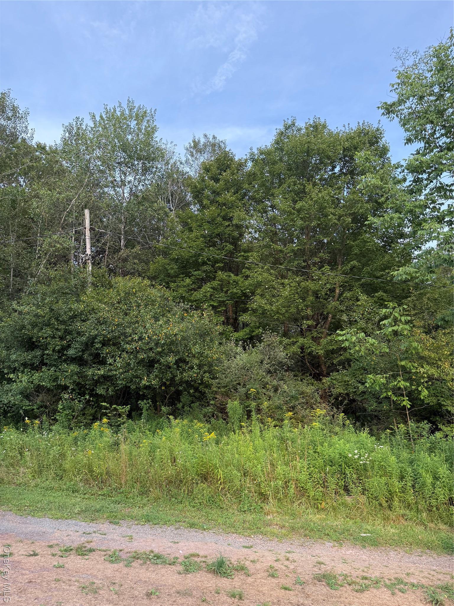 Single Family Briscoe Sullivan County, NY 12783, MLS-894406-3