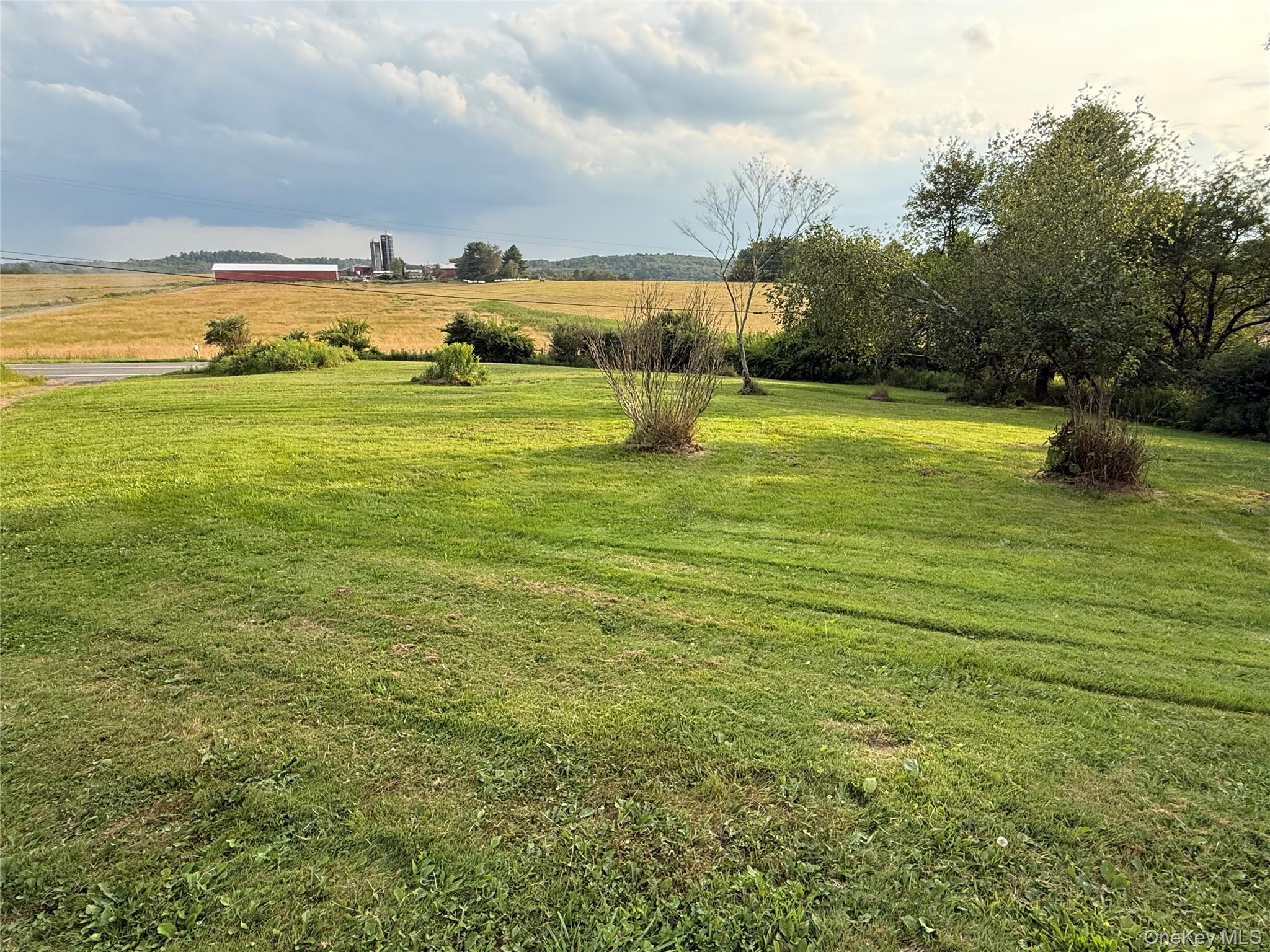 Single Family Briscoe Sullivan County, NY 12783, MLS-894406-4