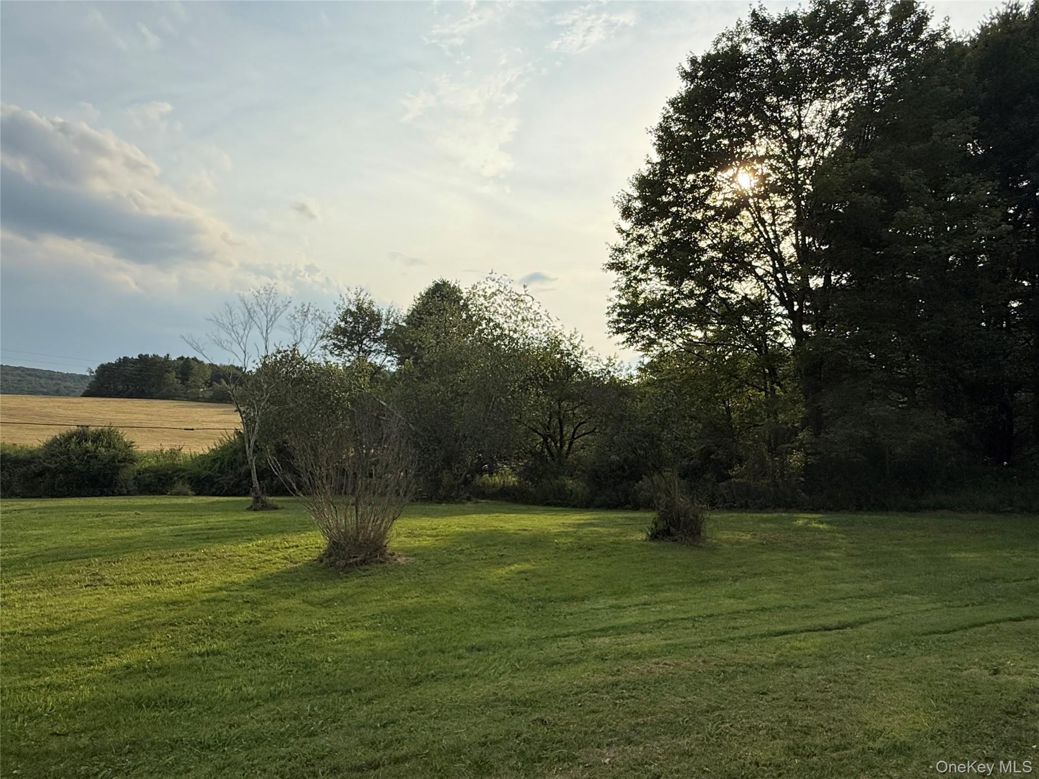 Single Family Briscoe Sullivan County, NY 12783, MLS-894406-5