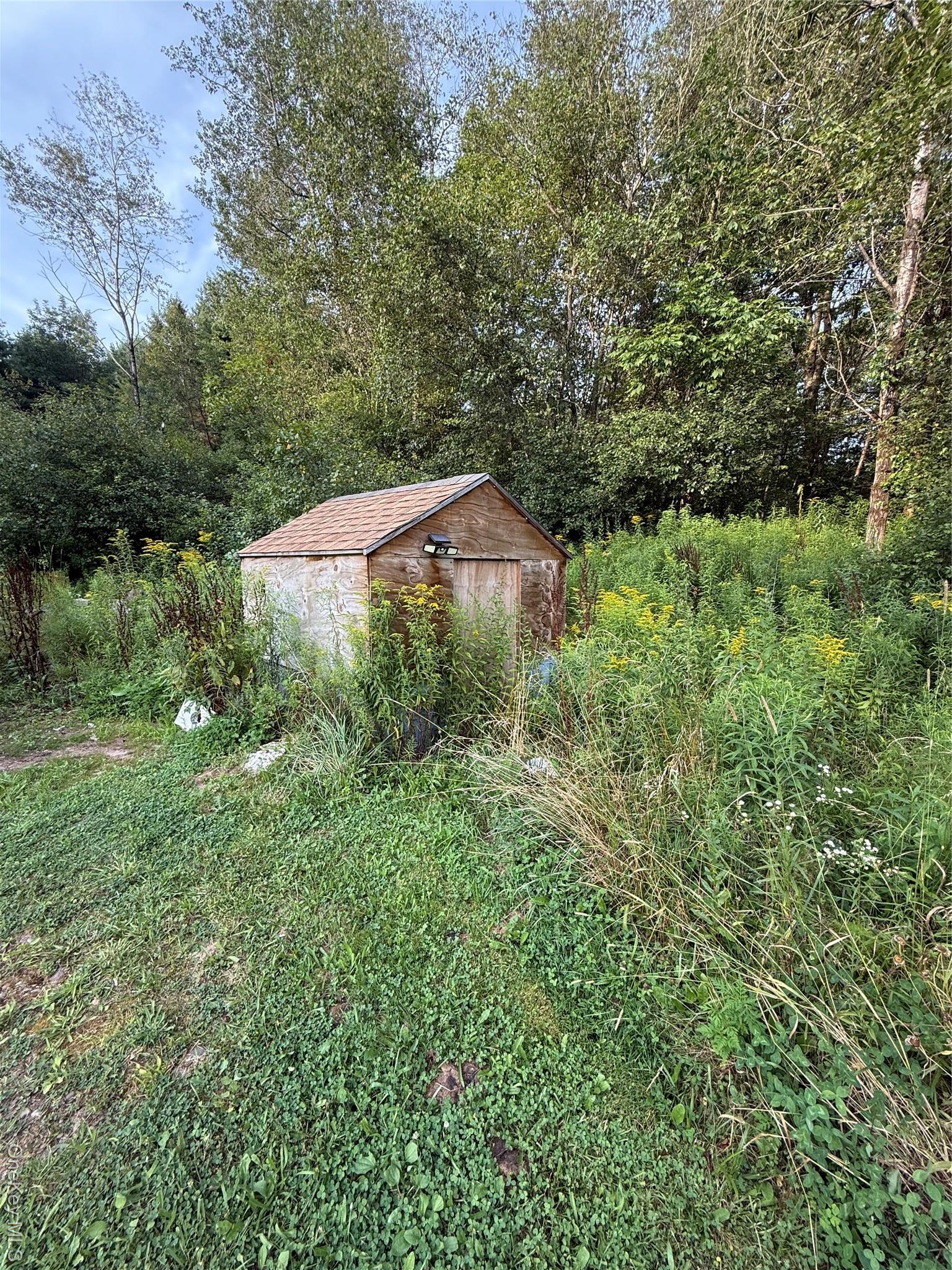 Single Family Briscoe Sullivan County, NY 12783, MLS-894406-8