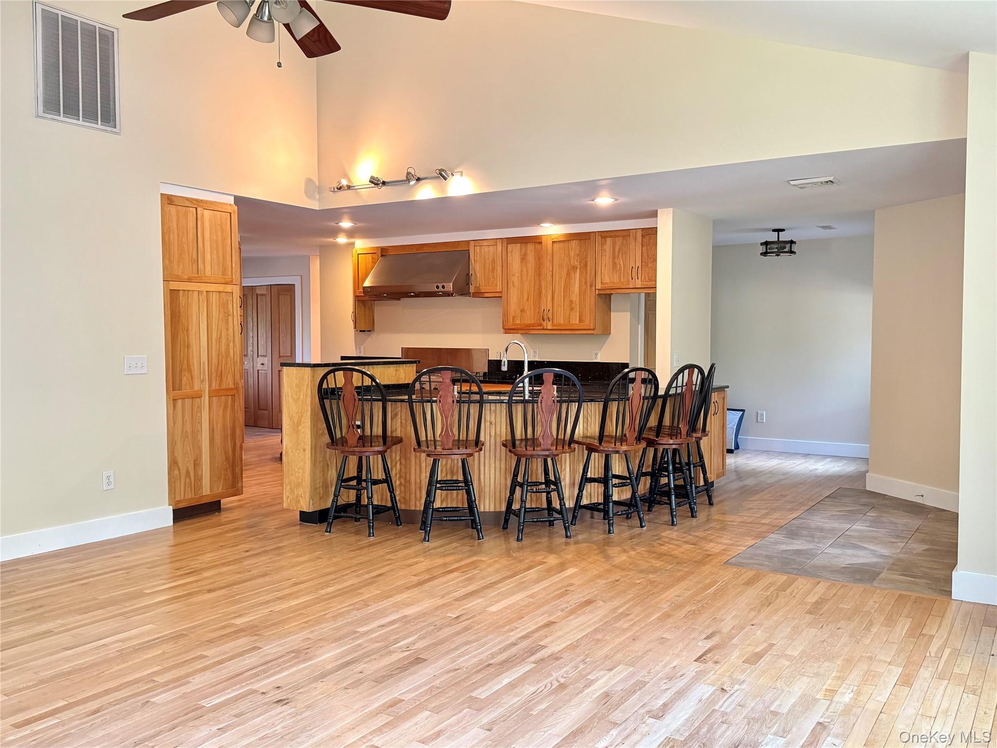 Single Family Paul Horn Greene County, NY 12414, MLS-894409-10