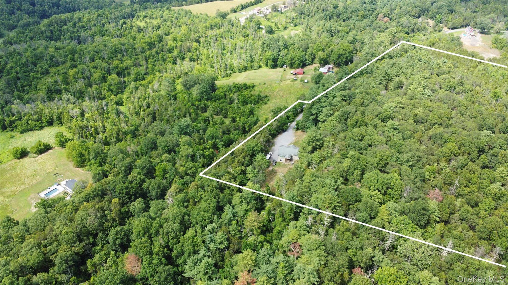 Single Family Paul Horn Greene County, NY 12414, MLS-894409-34