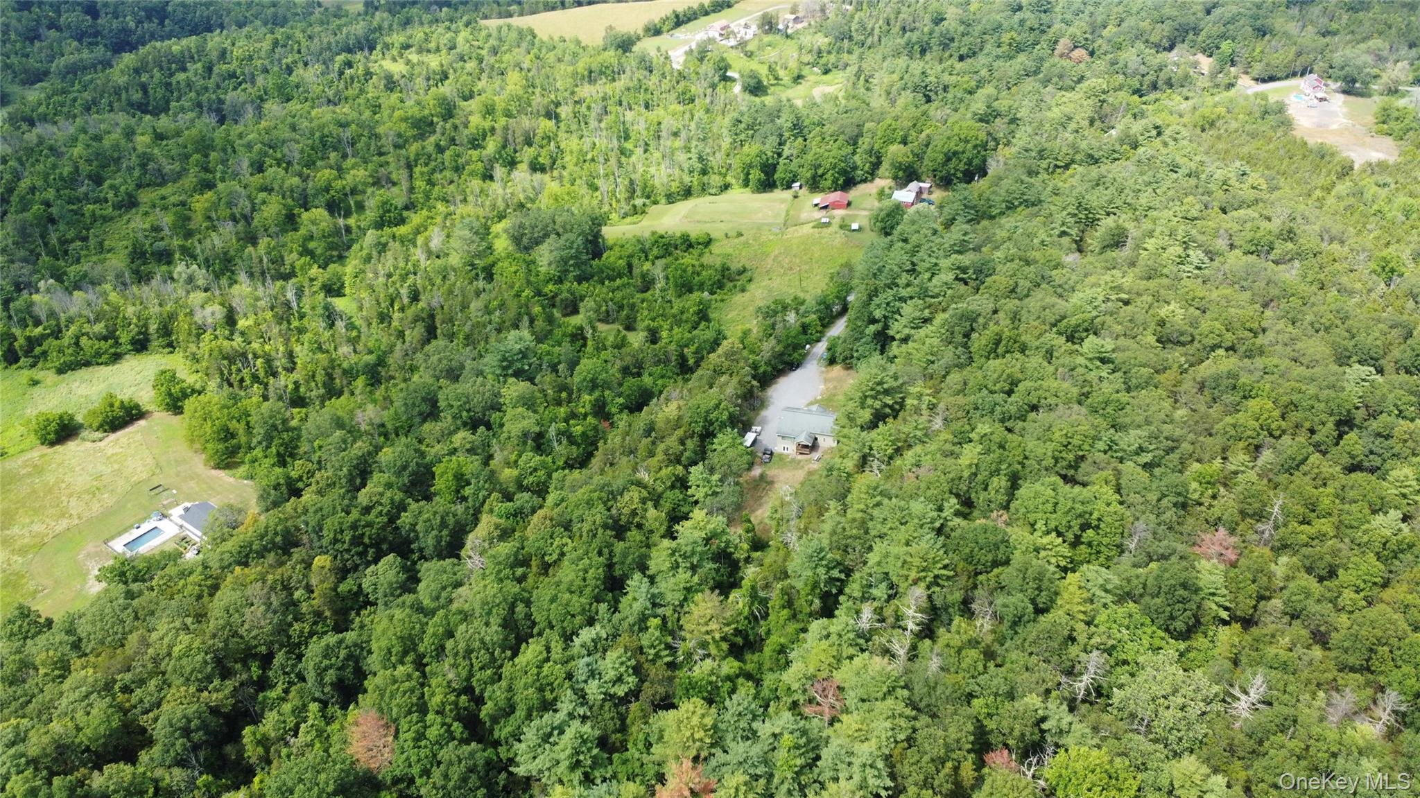 Single Family Paul Horn Greene County, NY 12414, MLS-894409-35