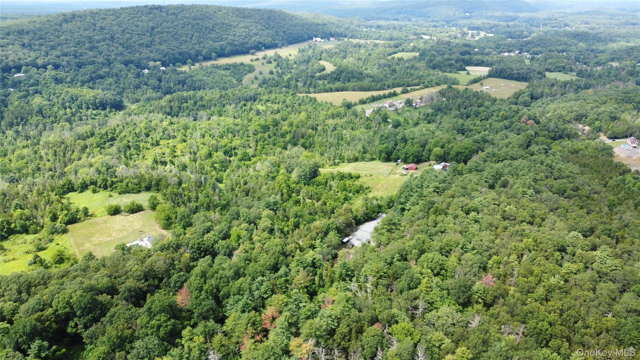 Single Family Paul Horn Greene County, NY 12414, MLS-894409-36