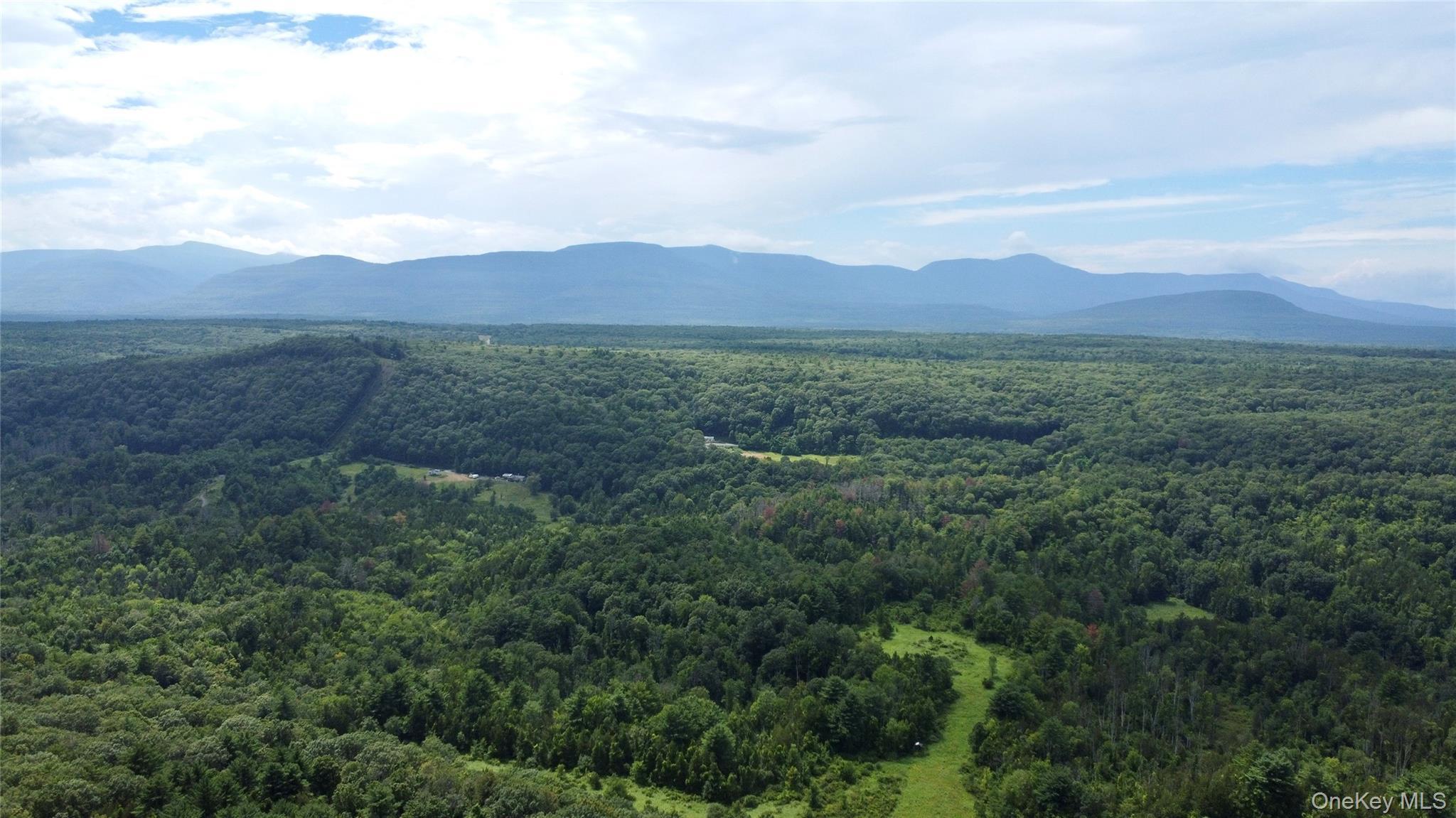 Single Family Paul Horn Greene County, NY 12414, MLS-894409-37