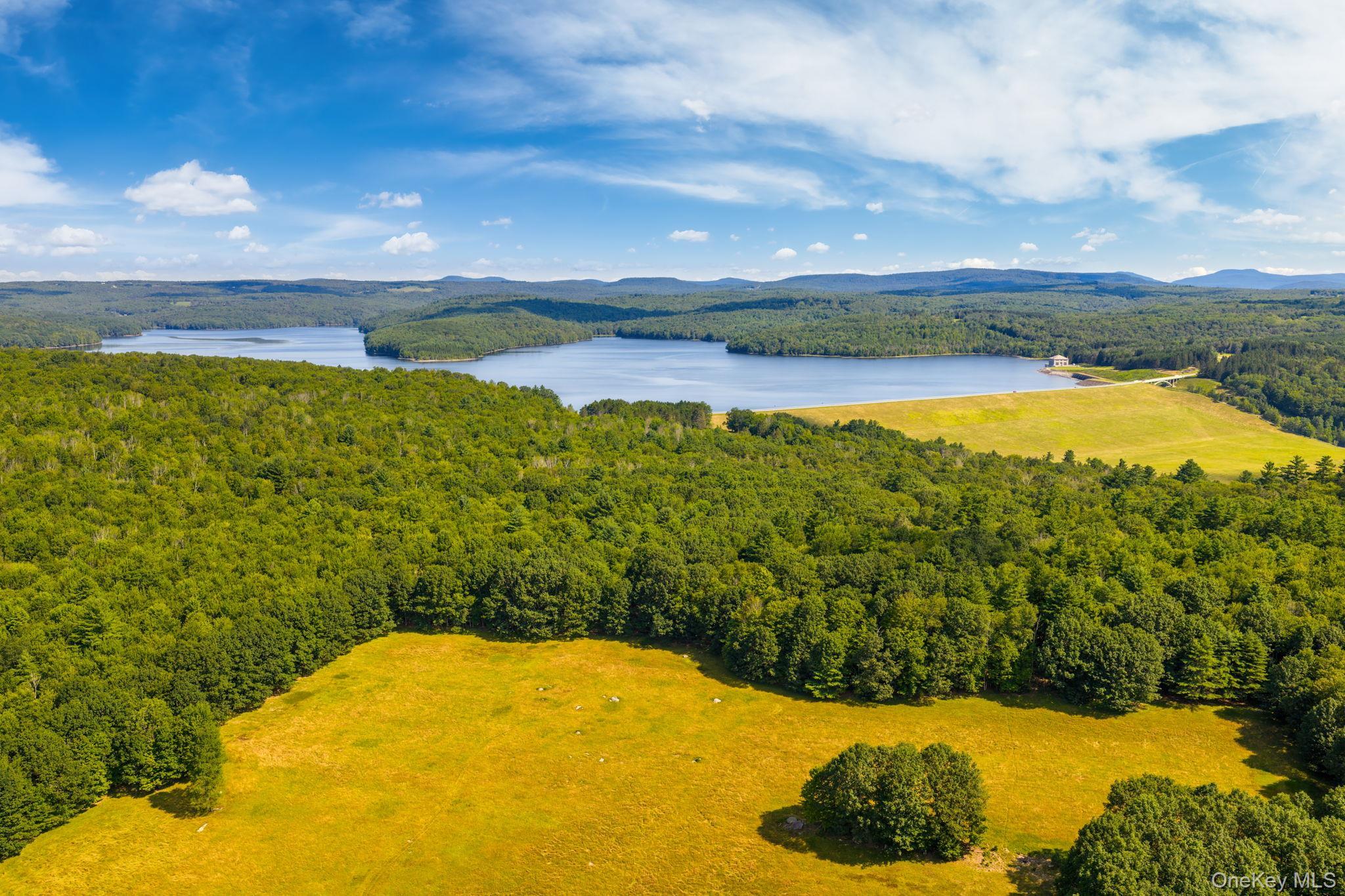 Single Family Cole  Sullivan County, NY 12788, MLS-894460-44