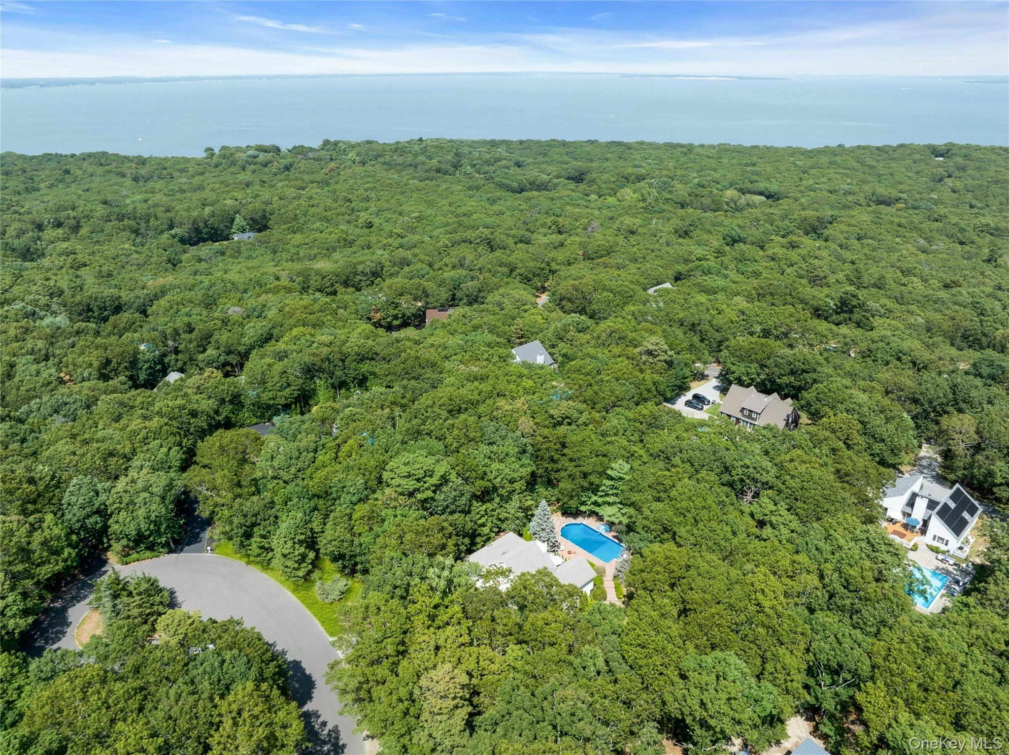 Single Family Douglas  Suffolk County, NY 11946, MLS-894485-45