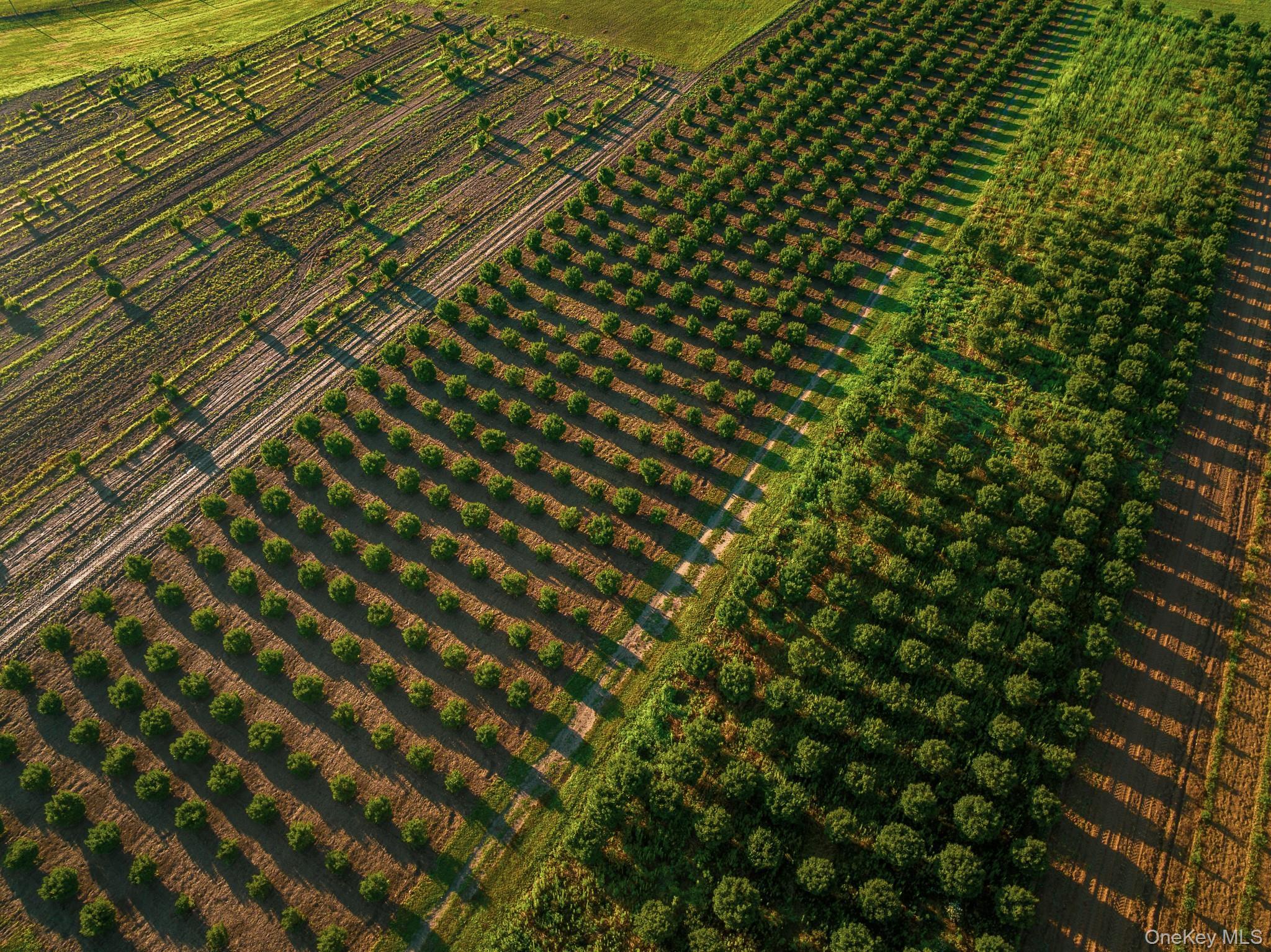 Single Family Route 25 Suffolk County, NY 11957, MLS-894623-27