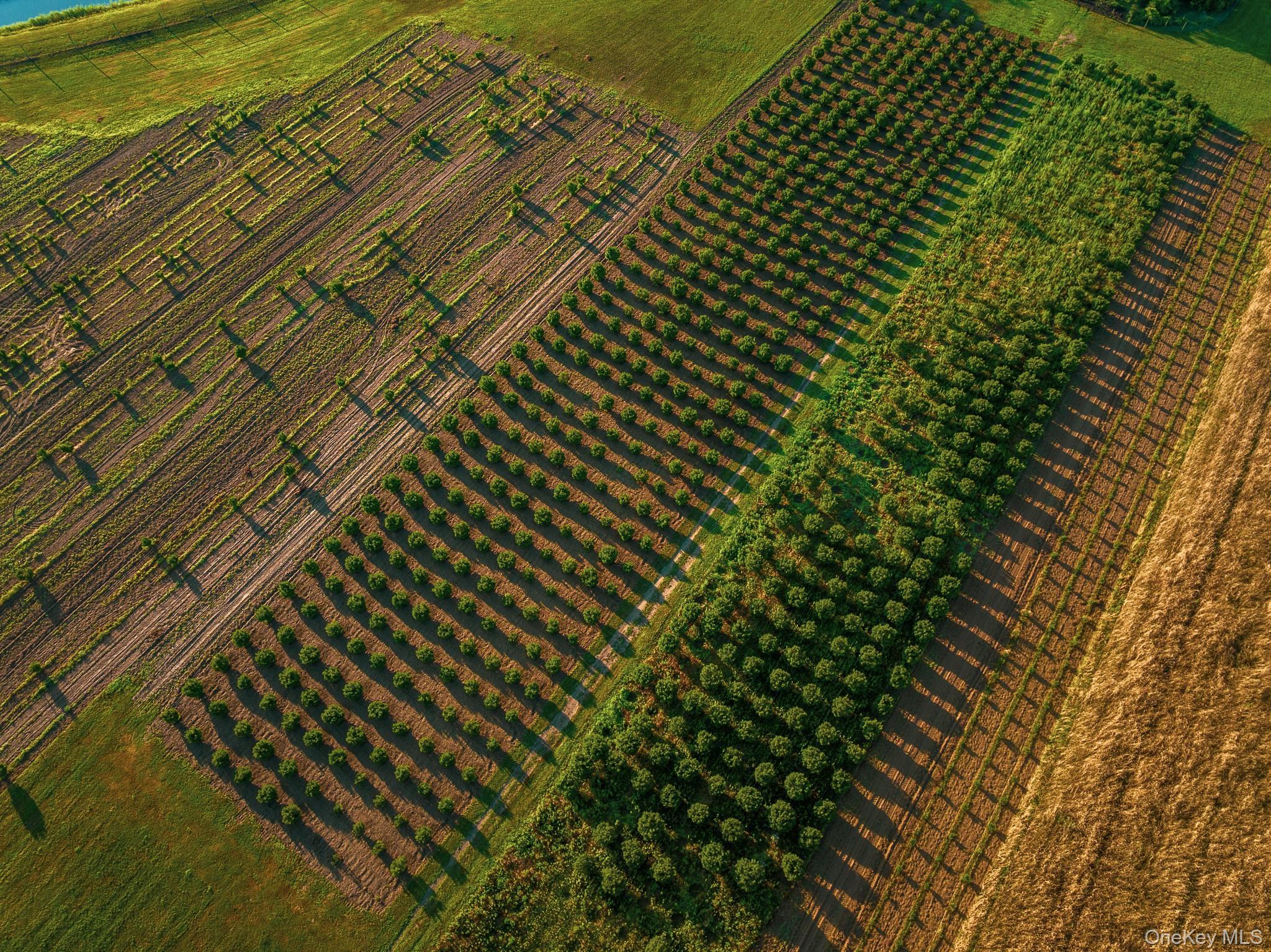 Single Family Route 25 Suffolk County, NY 11957, MLS-894623-28