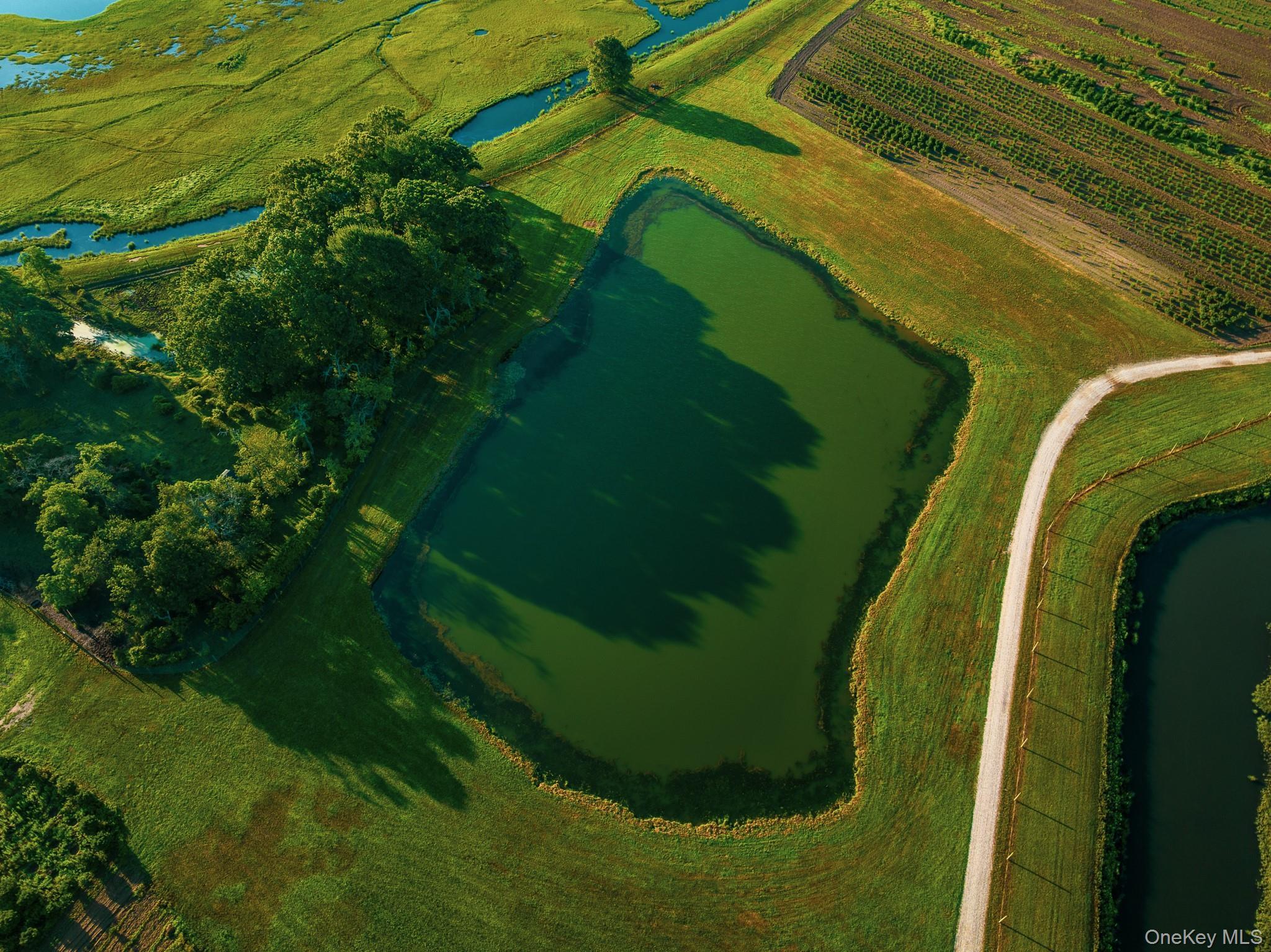 Single Family Route 25 Suffolk County, NY 11957, MLS-894623-29