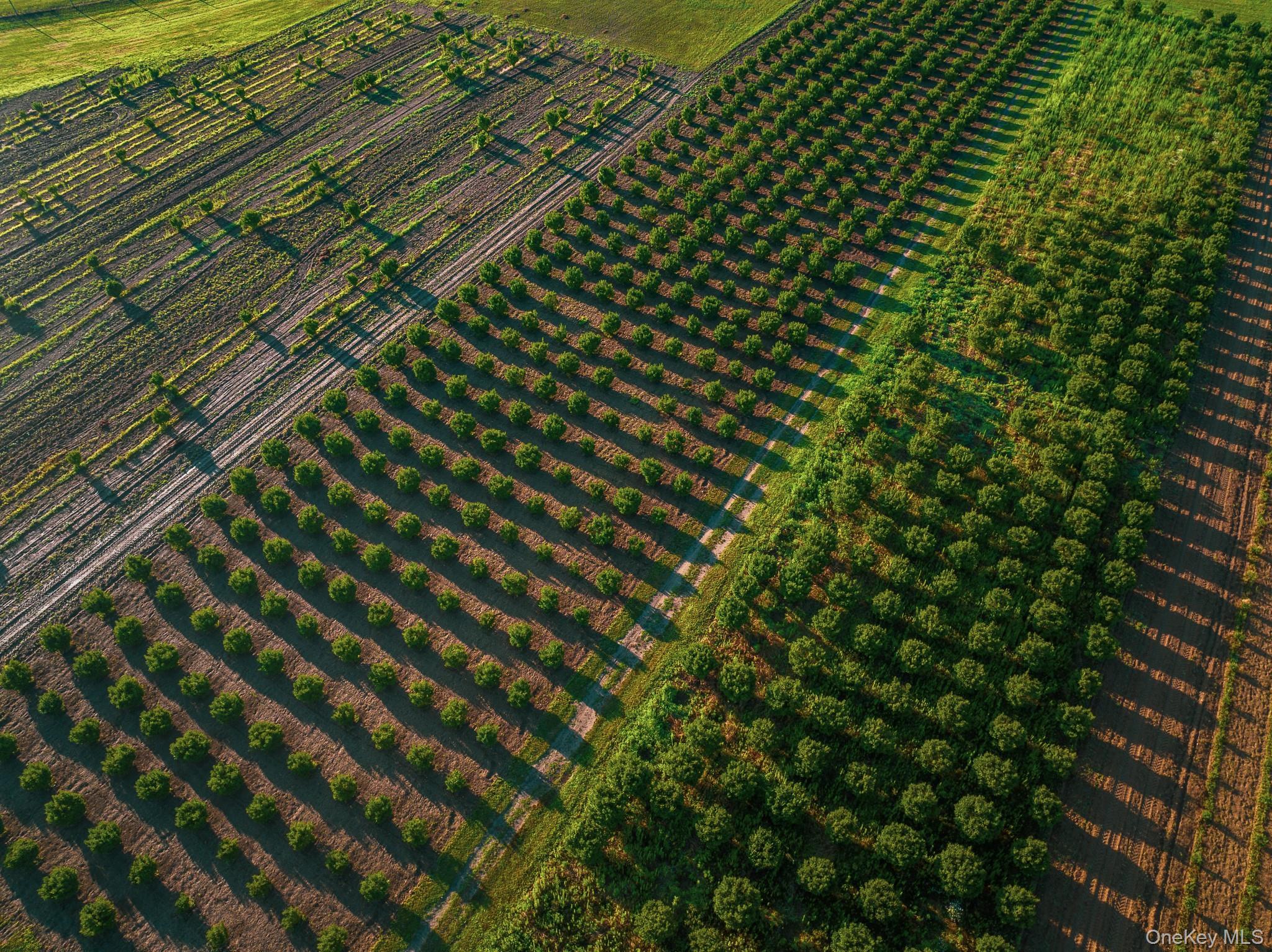 Single Family Route 25 Suffolk County, NY 11957, MLS-894623-3