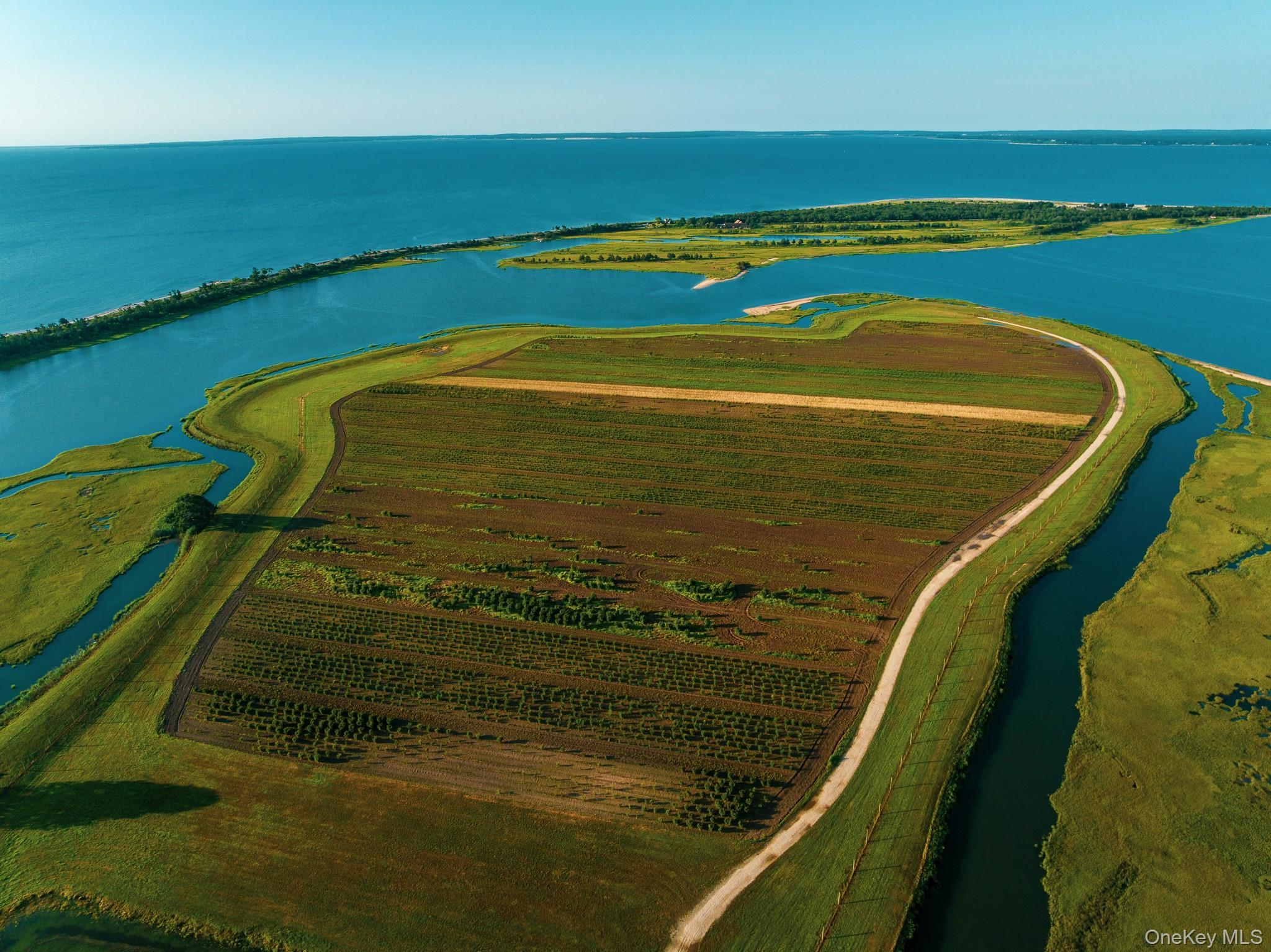 Single Family Route 25 Suffolk County, NY 11957, MLS-894623-30