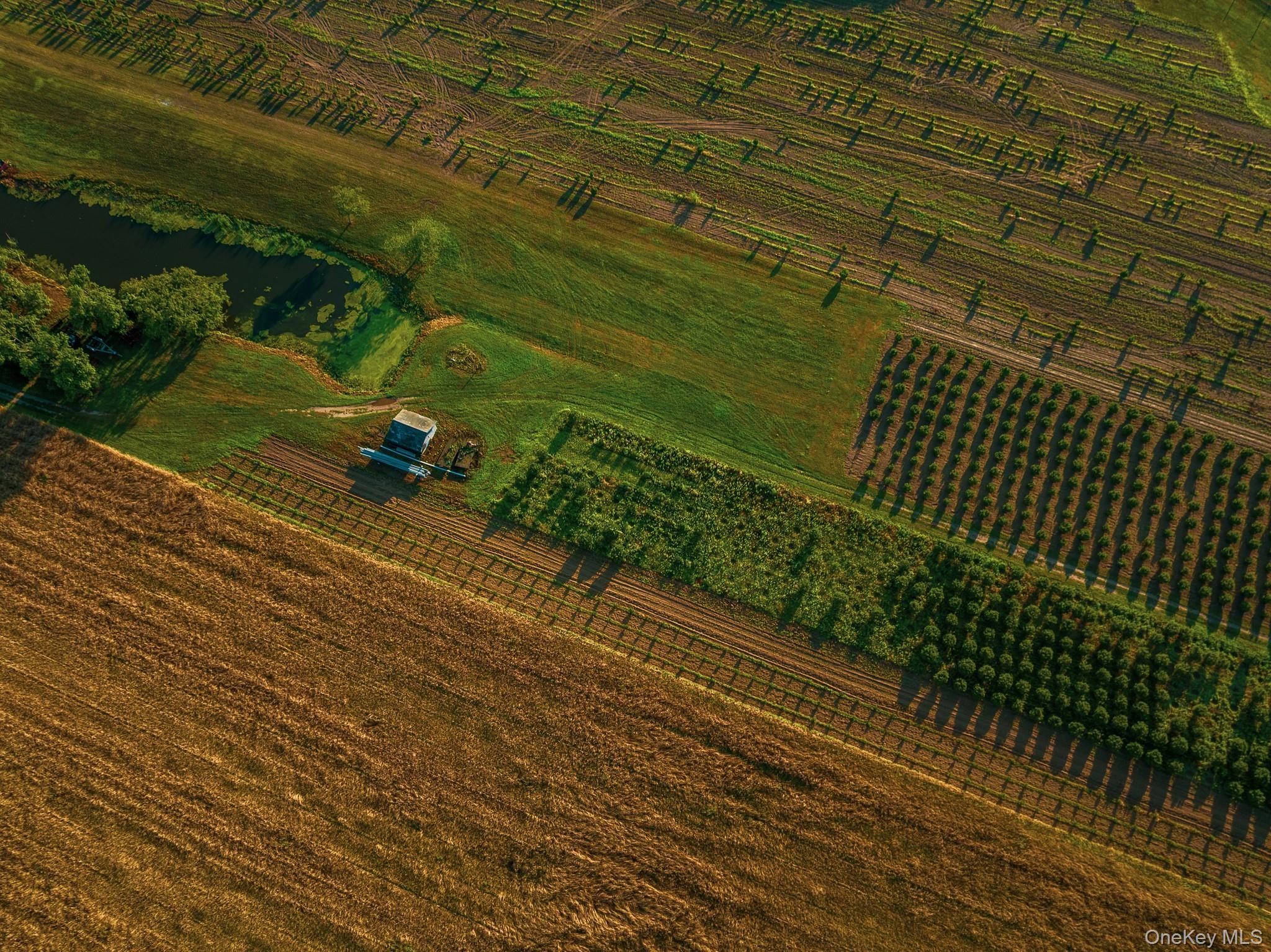 Single Family Route 25 Suffolk County, NY 11957, MLS-894623-33