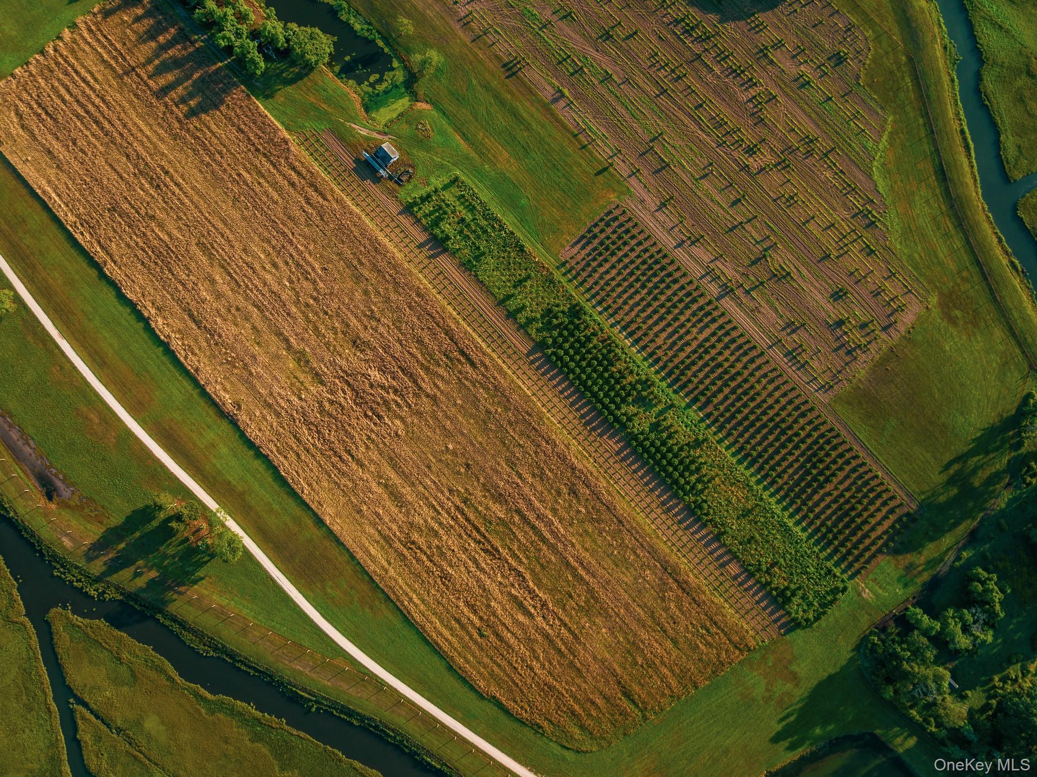 Single Family Route 25 Suffolk County, NY 11957, MLS-894623-34