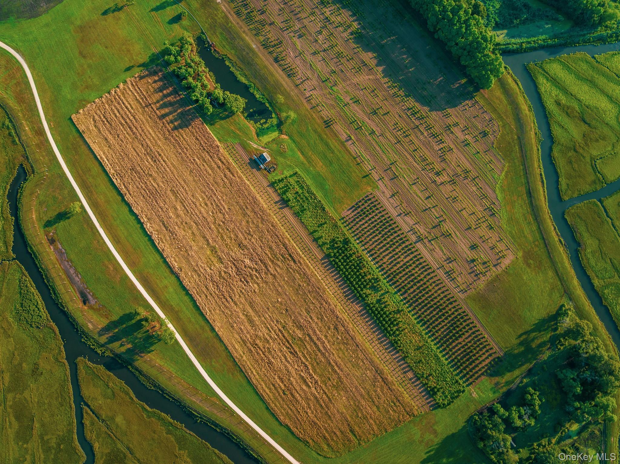 Single Family Route 25 Suffolk County, NY 11957, MLS-894623-35