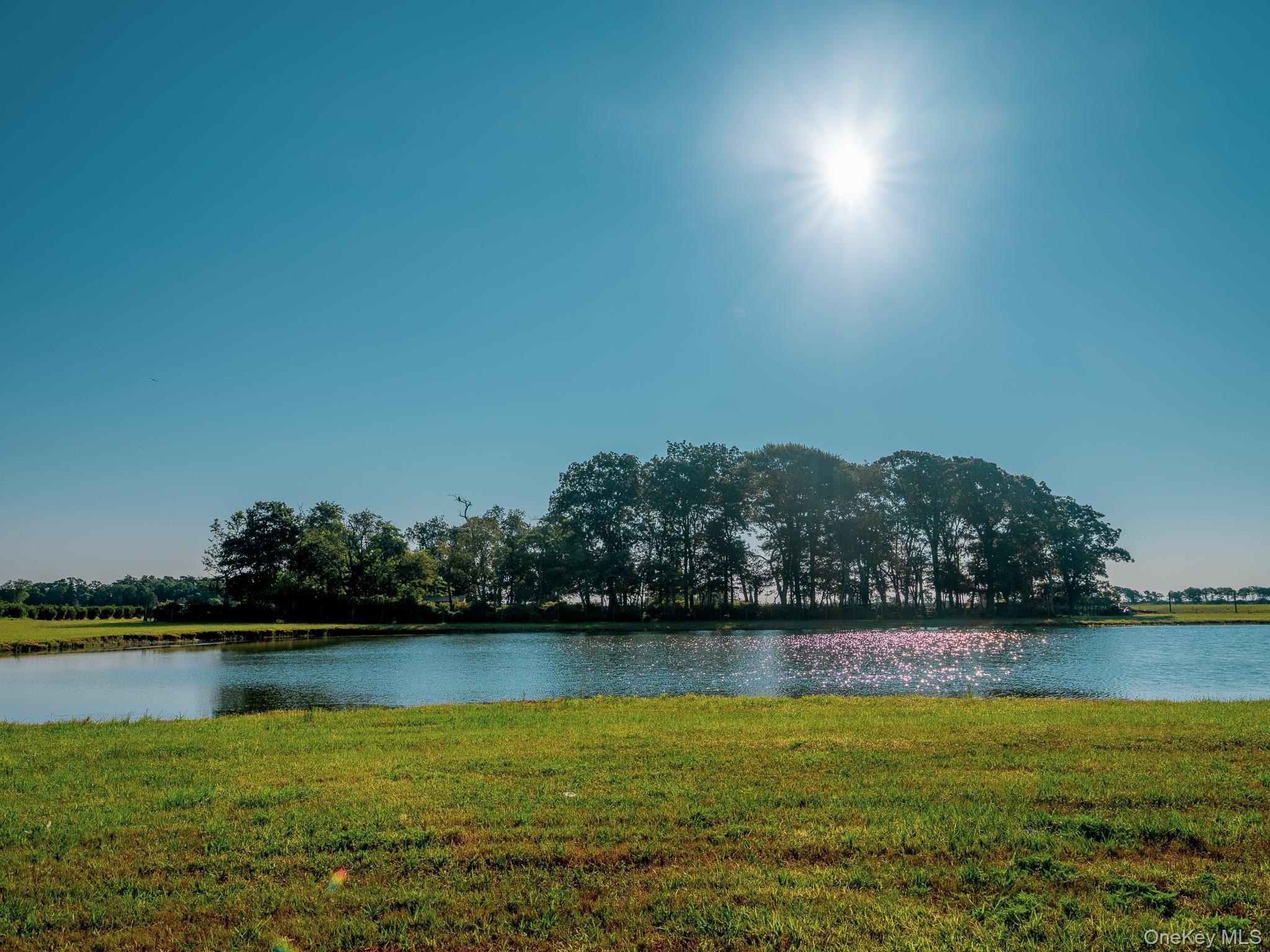 Single Family Route 25 Suffolk County, NY 11957, MLS-894623-4