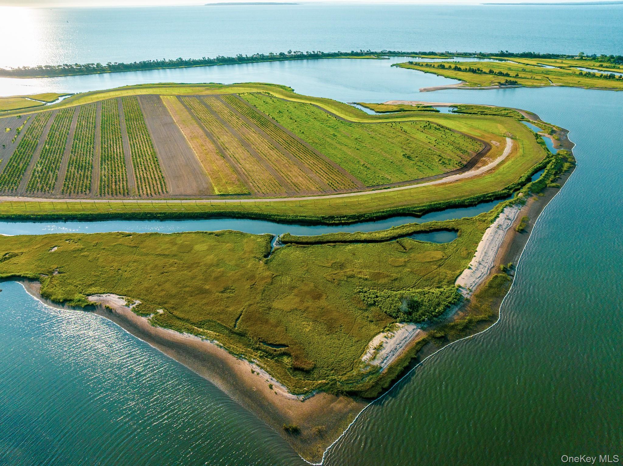 Single Family Route 25  Suffolk County, NY 11957, MLS-894623-42