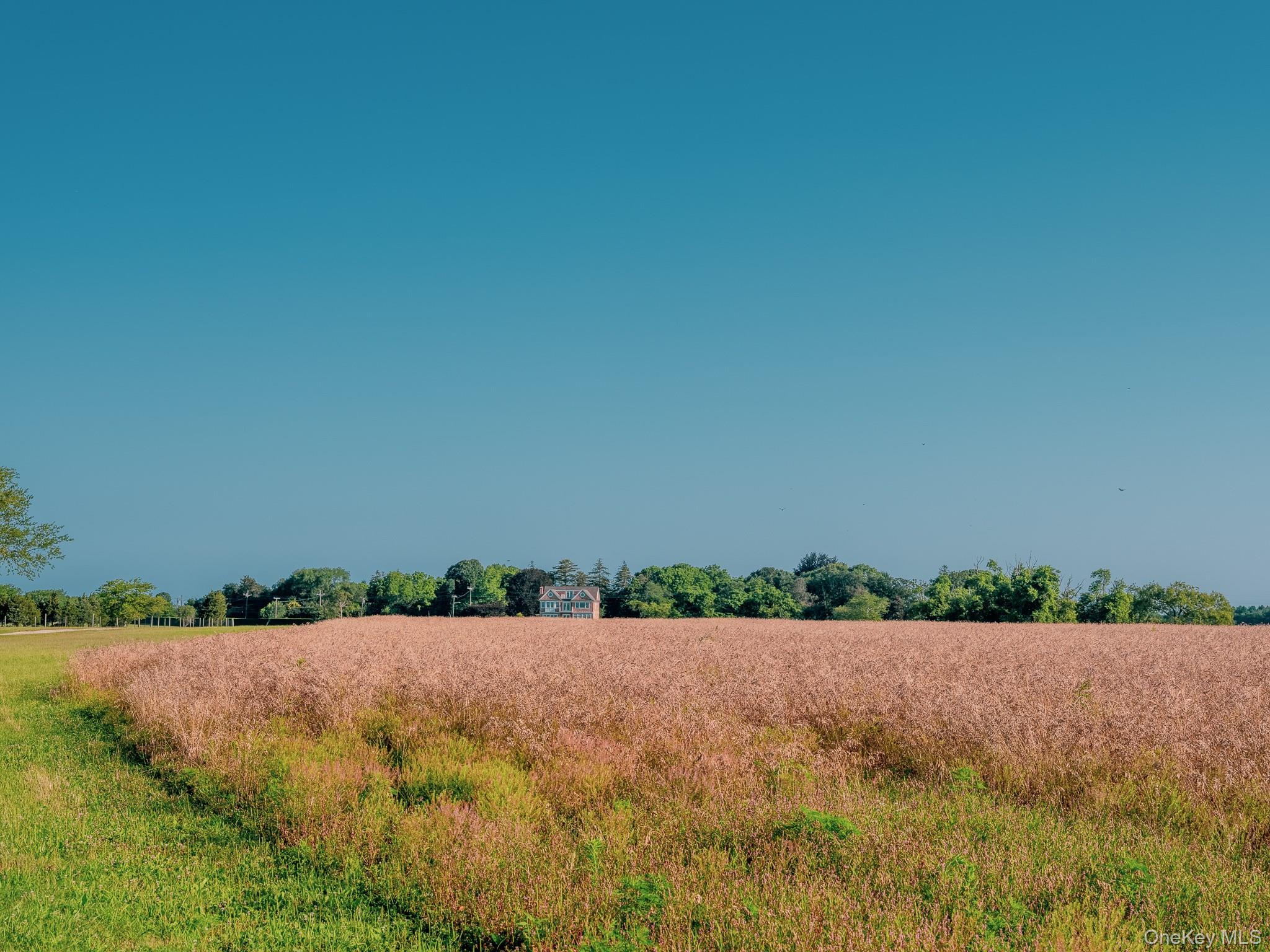 Single Family Route 25 Suffolk County, NY 11957, MLS-894623-5