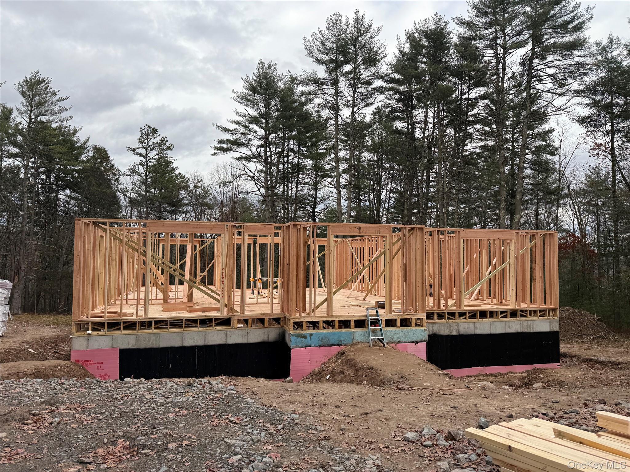 Single Family Van Tuyl  Sullivan County, NY 12719, MLS-894726-5