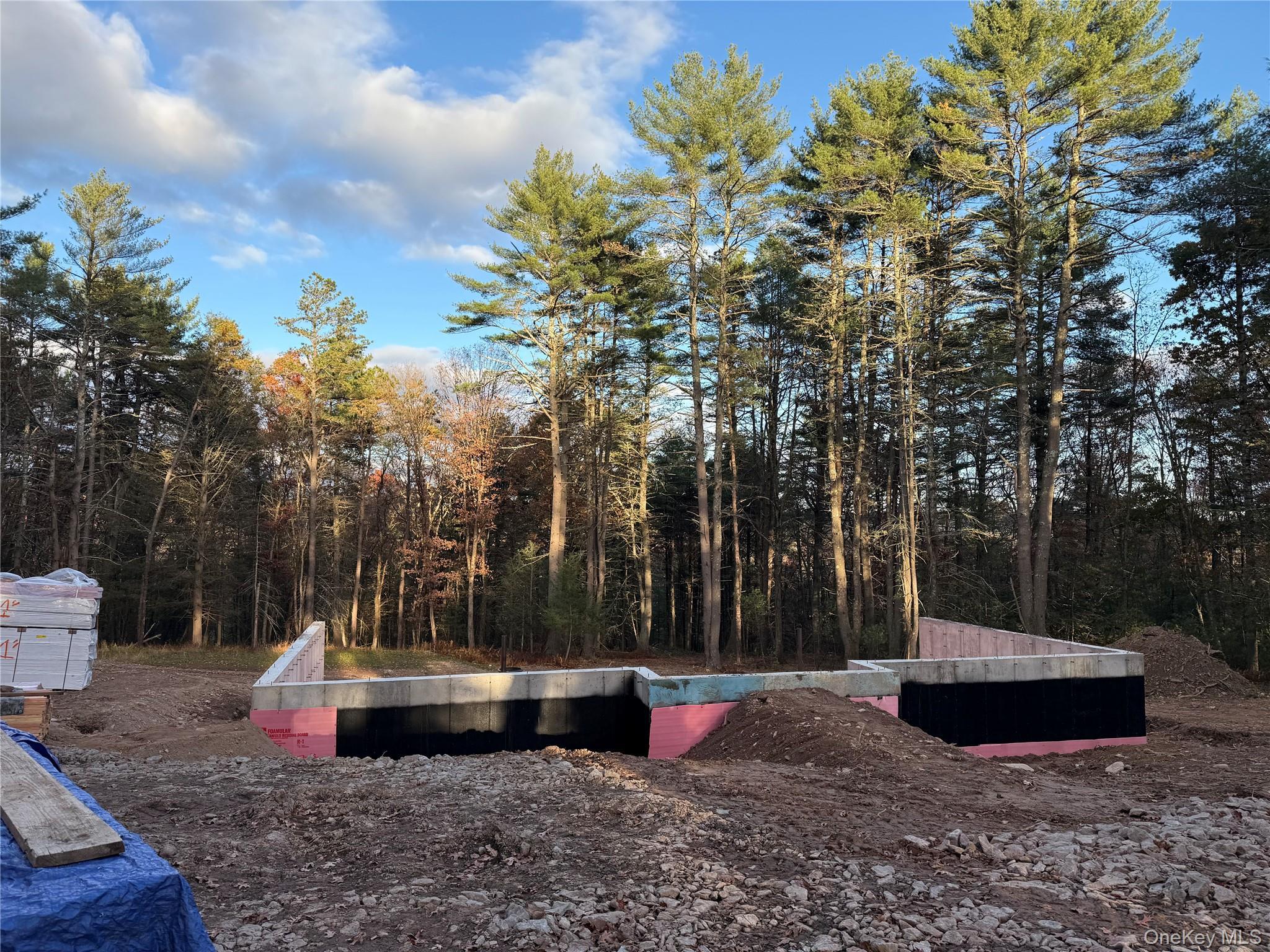 Single Family Van Tuyl  Sullivan County, NY 12719, MLS-894726-9