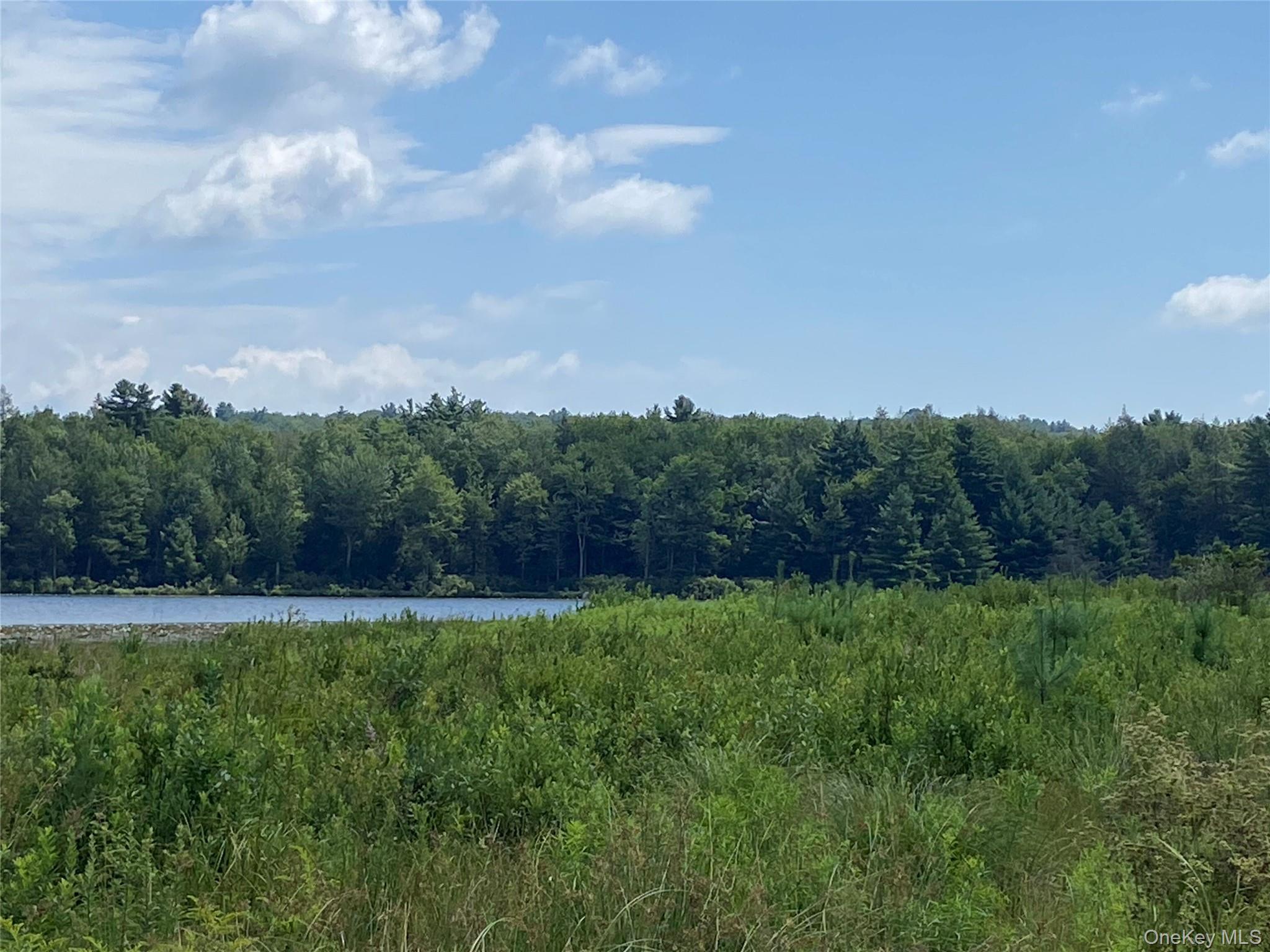 Single Family Bailey Lake  Sullivan County, NY 12751, MLS-894738-11