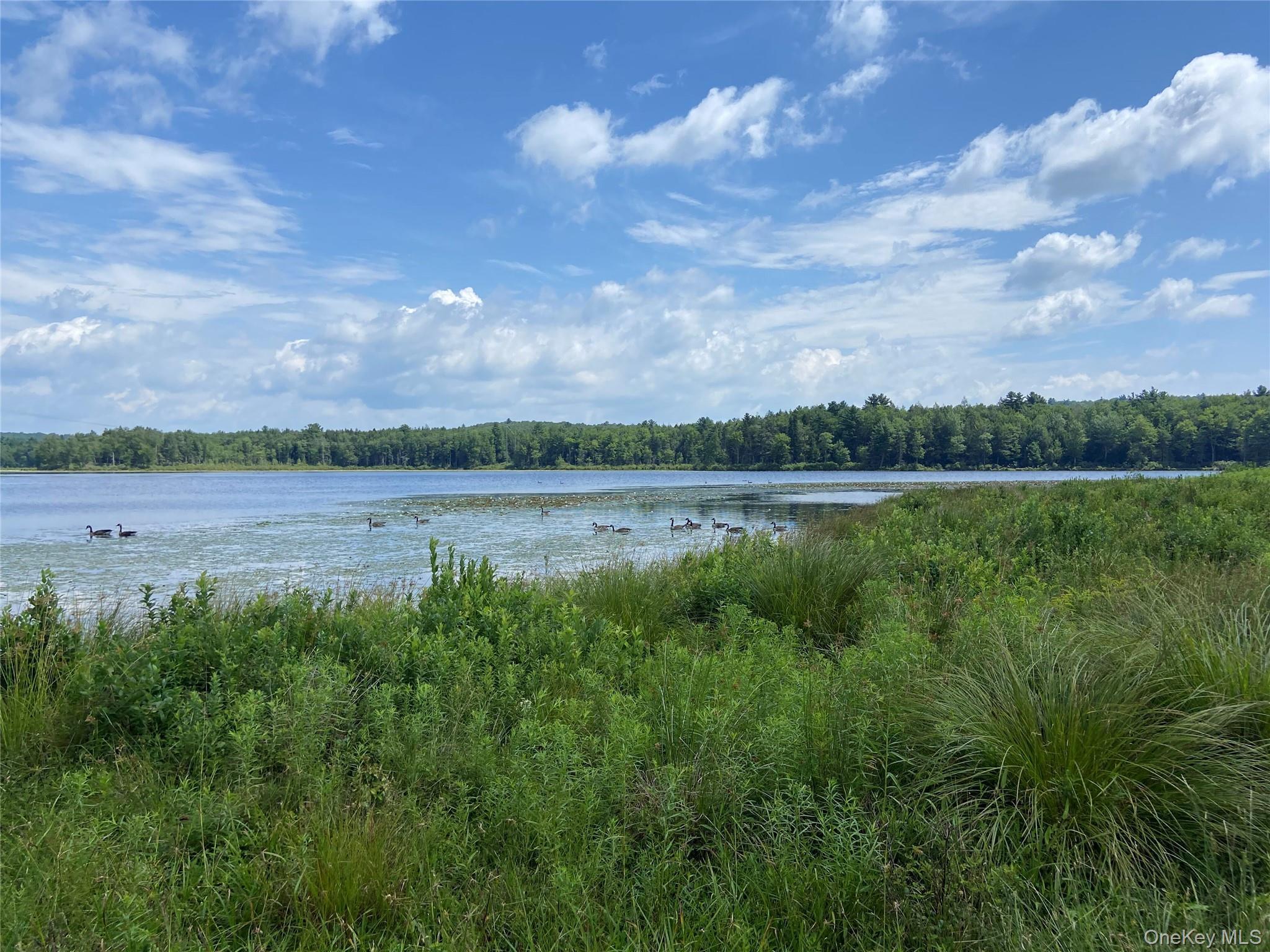 Single Family Bailey Lake  Sullivan County, NY 12751, MLS-894738-12