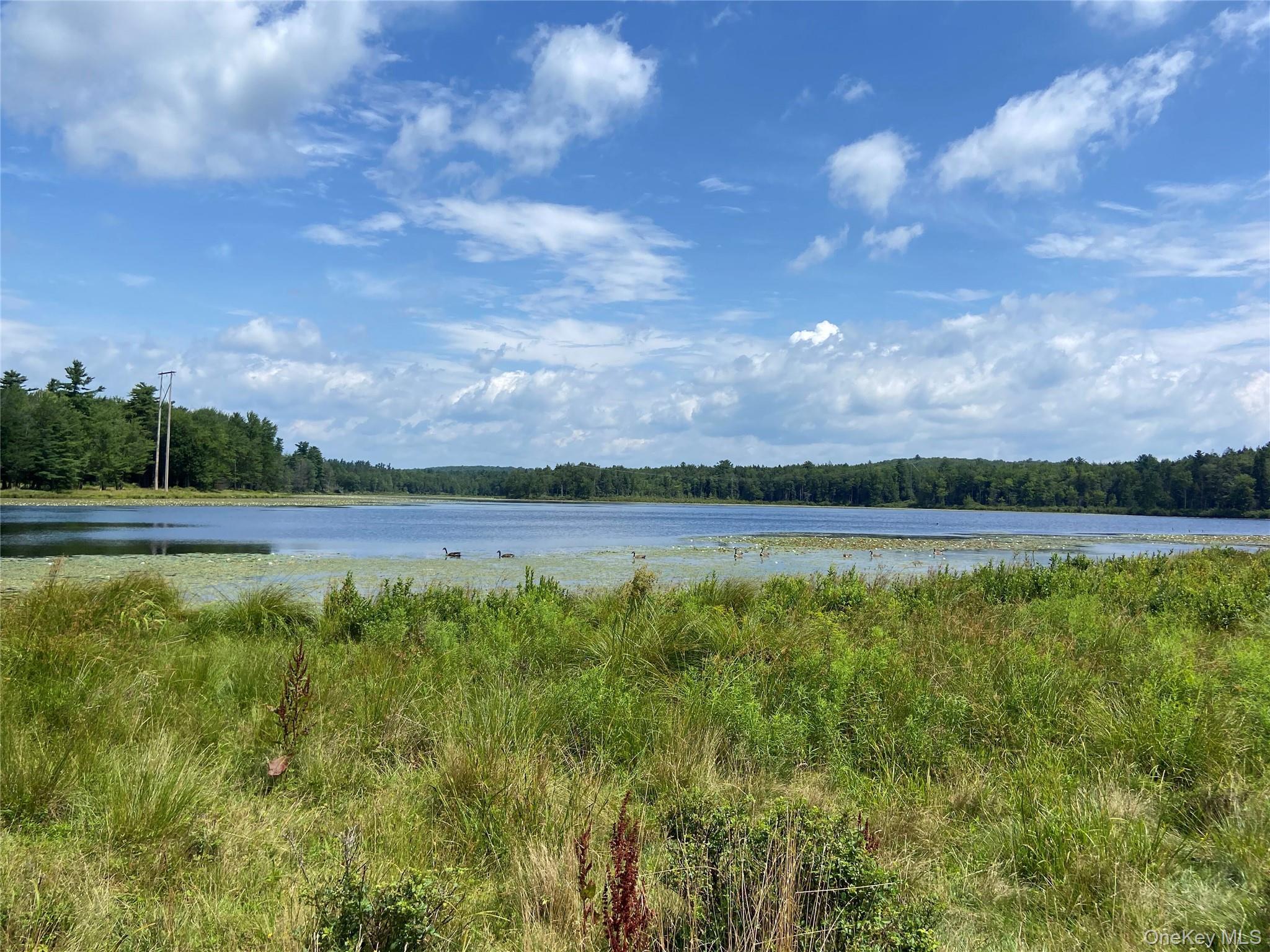 Single Family Bailey Lake  Sullivan County, NY 12751, MLS-894738-27